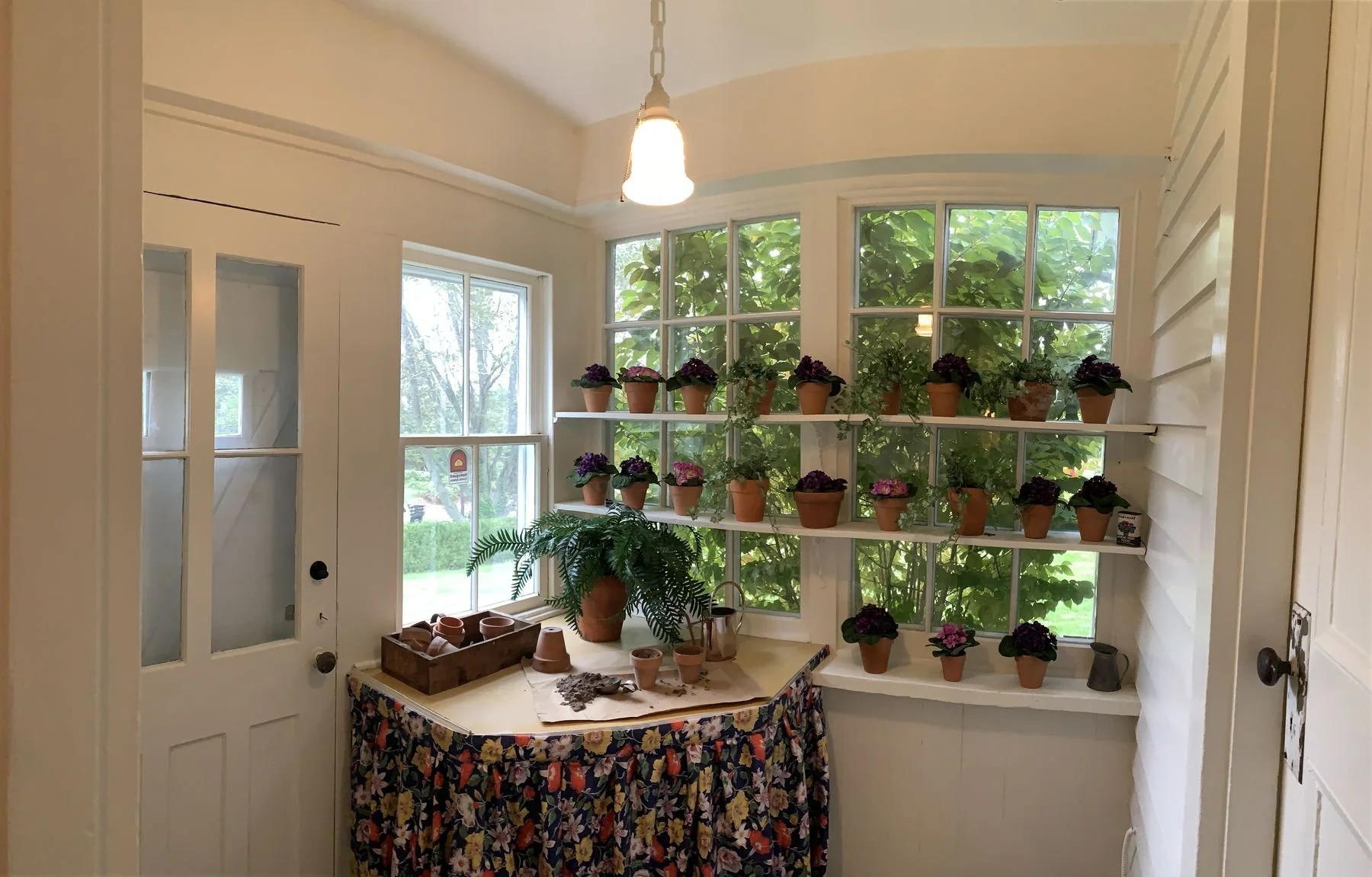 The sunroom, with African violets in the windows.