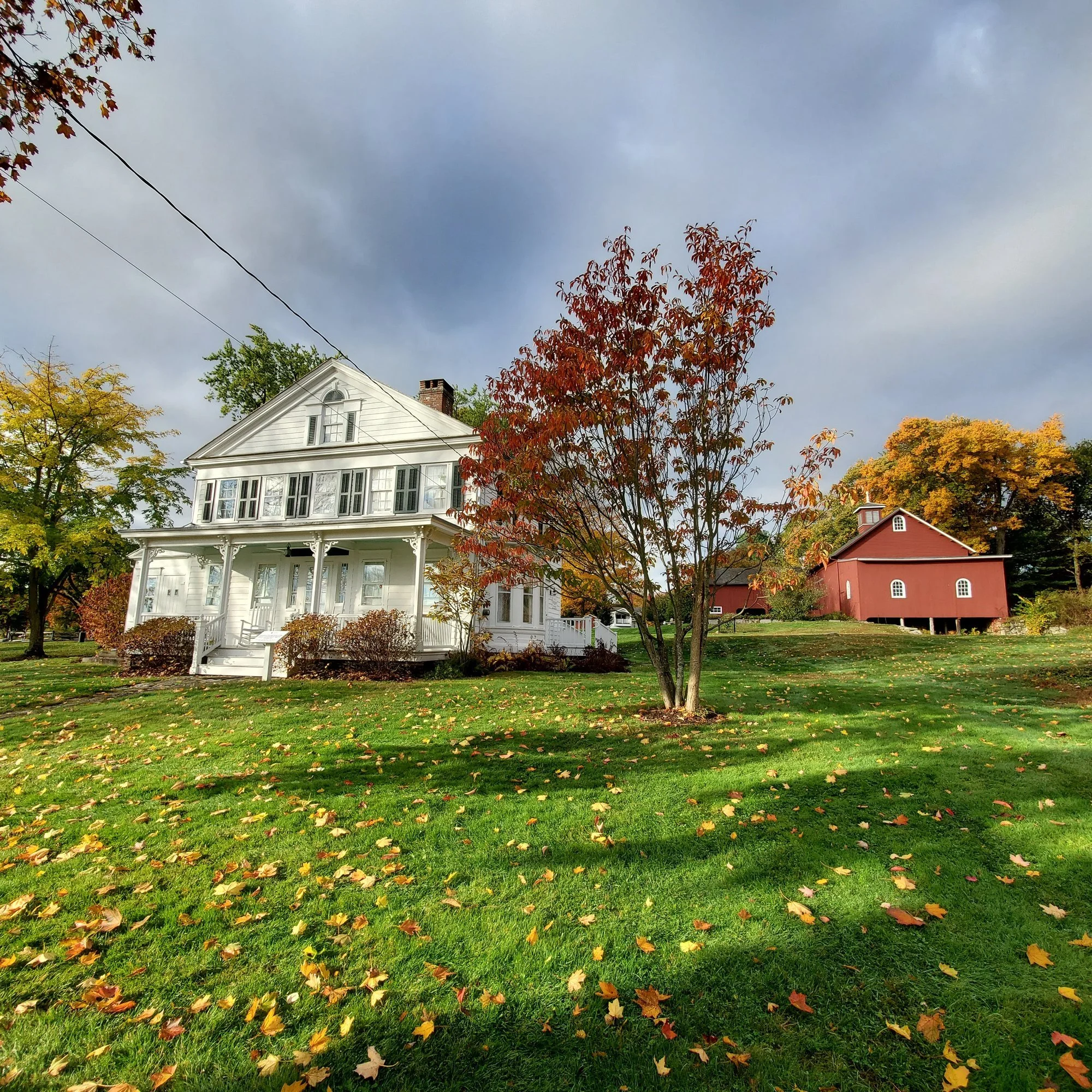 The Coley House and a red maple, fall 2022