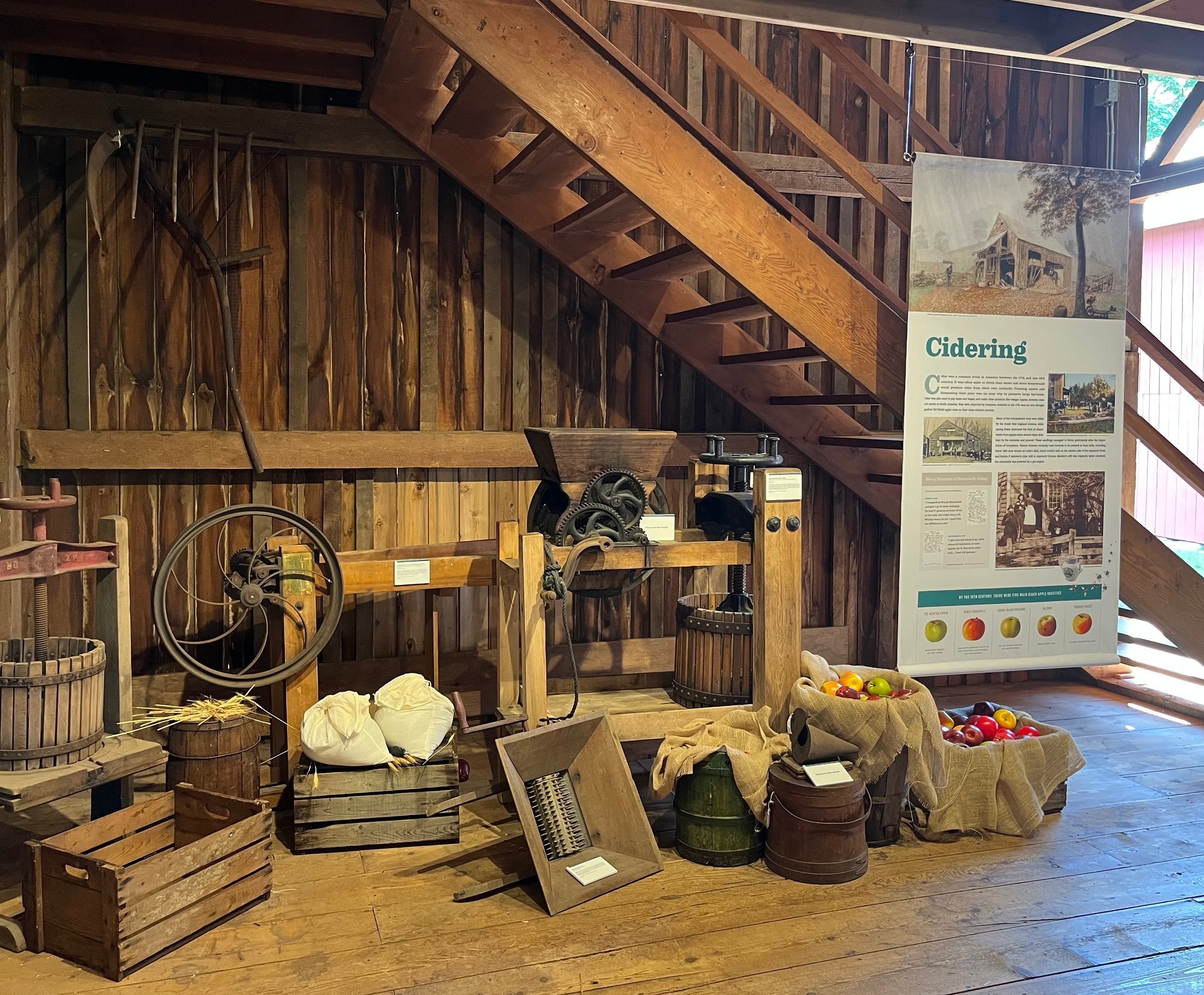 Cidering display with a cider mill, barrels, crates and apples.