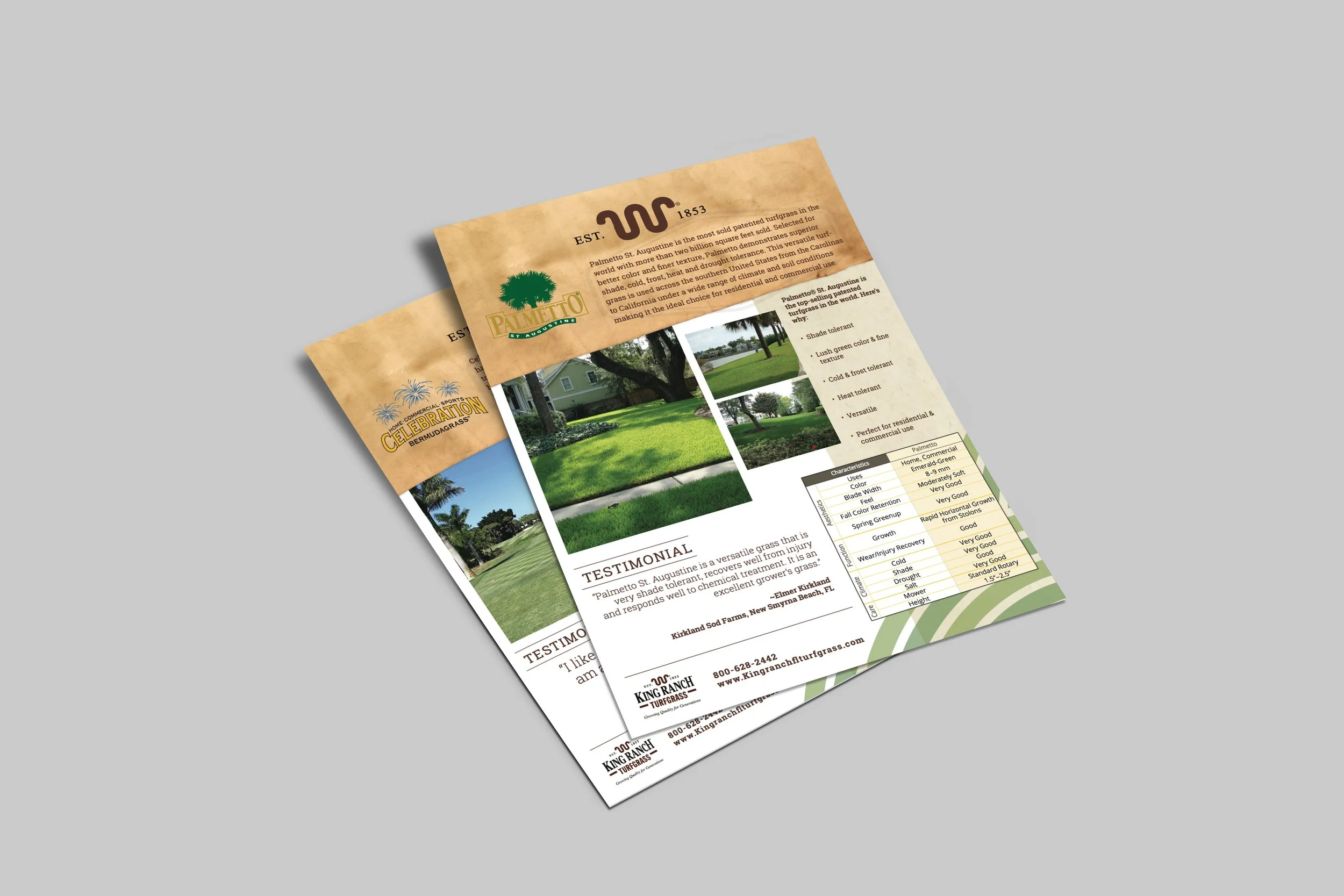 Free Flyers Mockup For Presentation.jpg