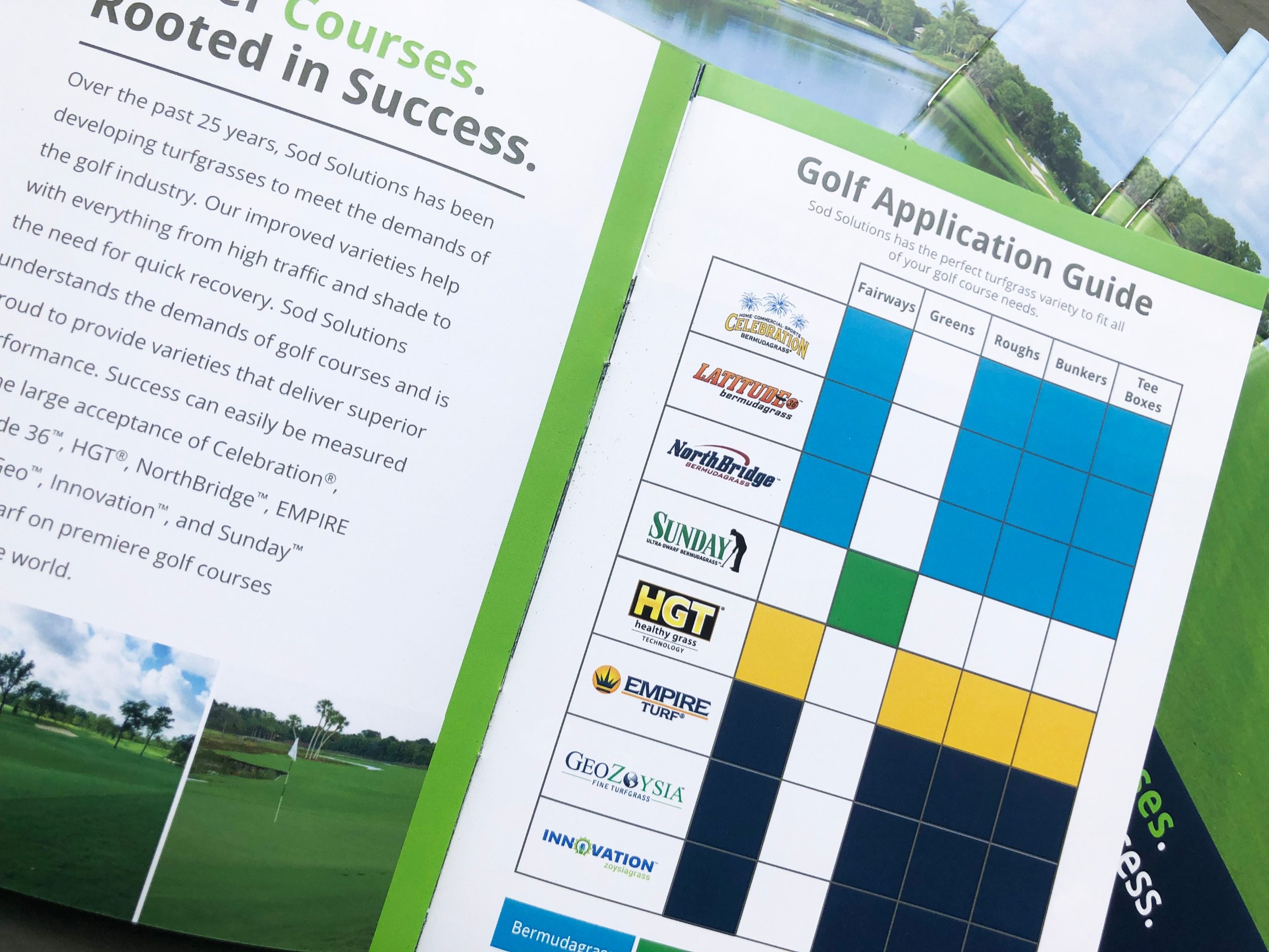 golf chart_edited.jpg