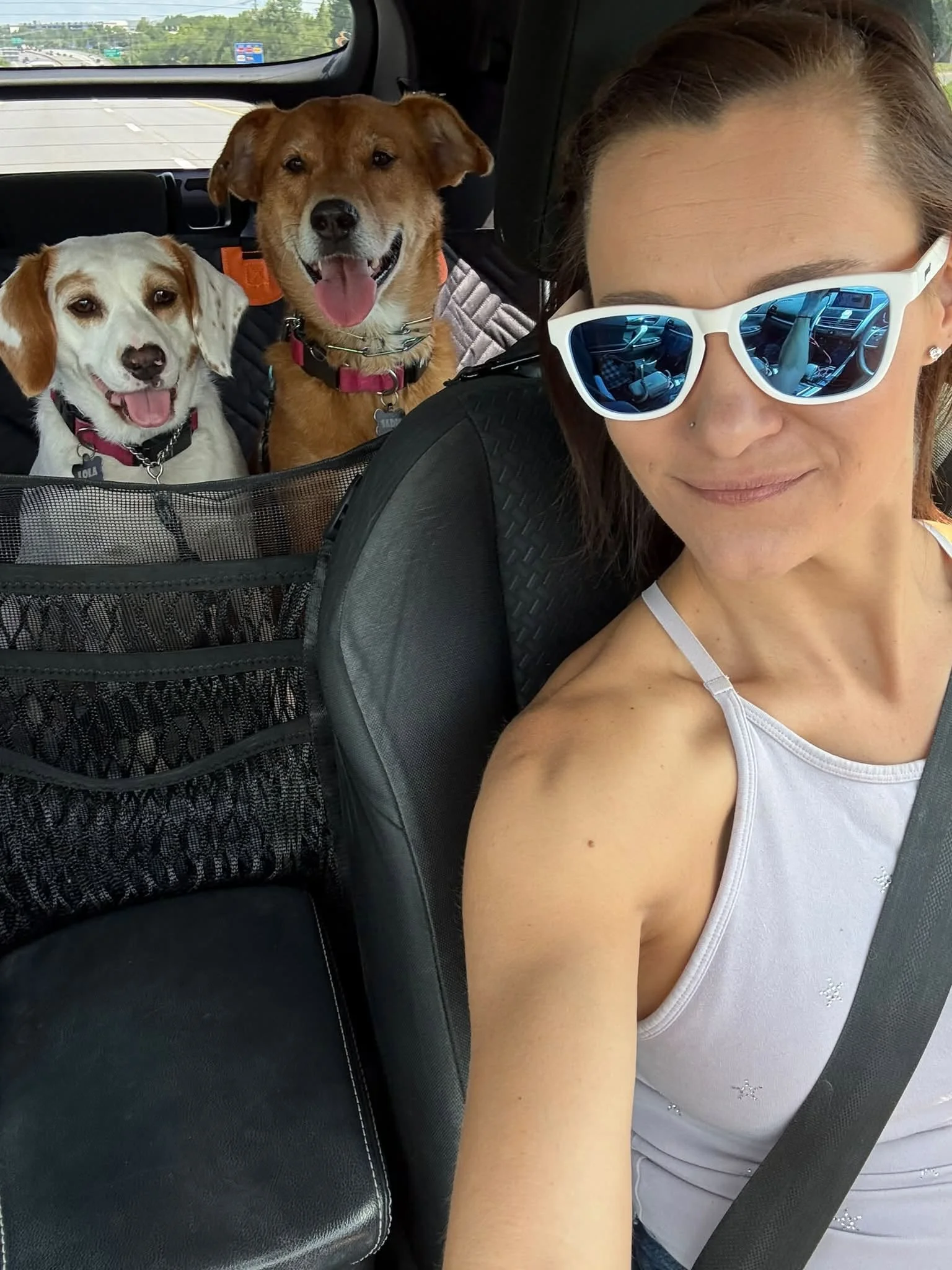 My favorite backseat company.