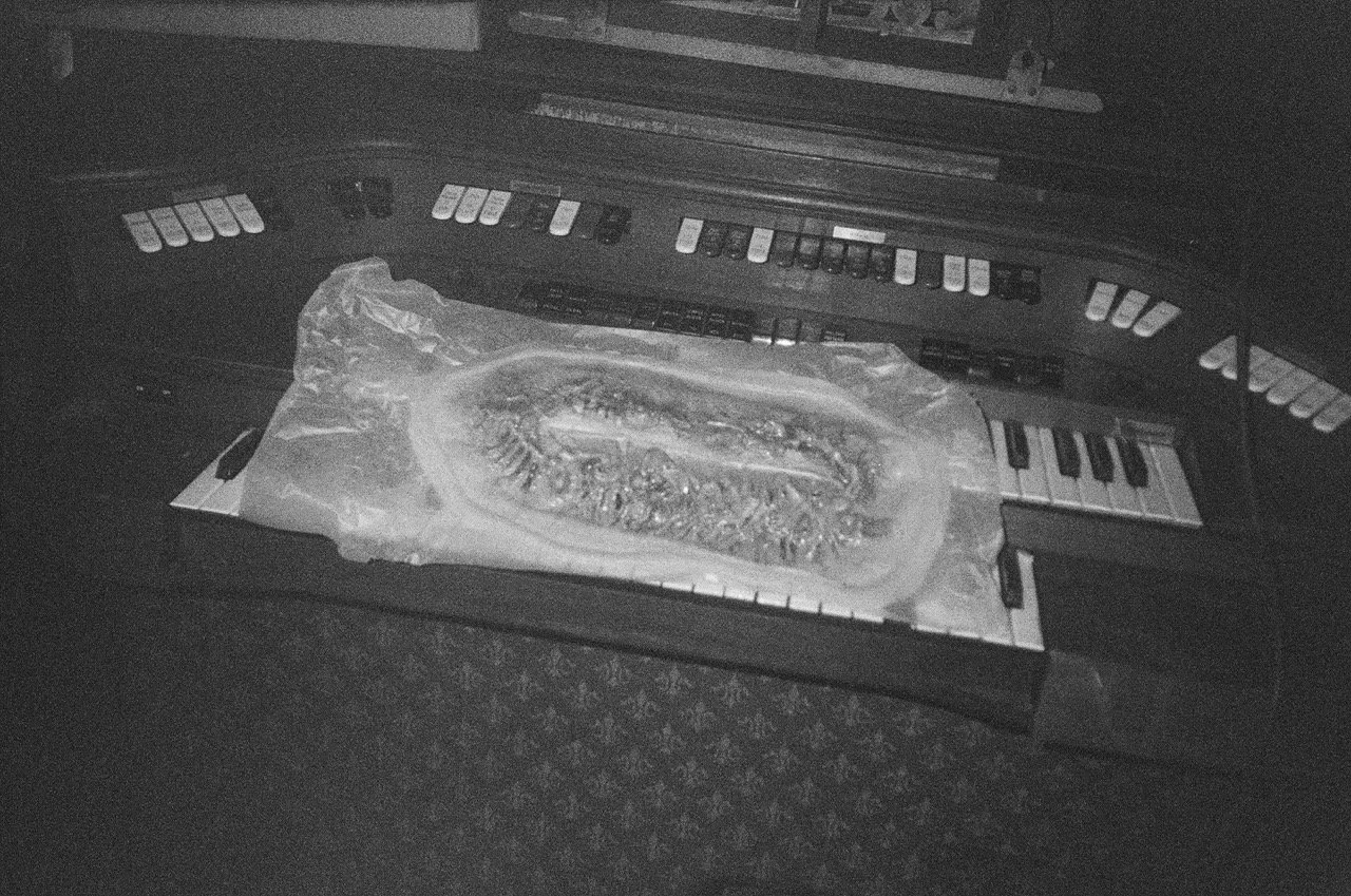 IMG_1642 Large.jpeg