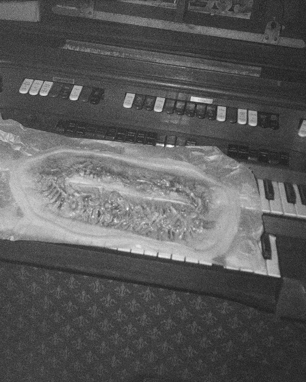 IMG_1700 Large.jpeg