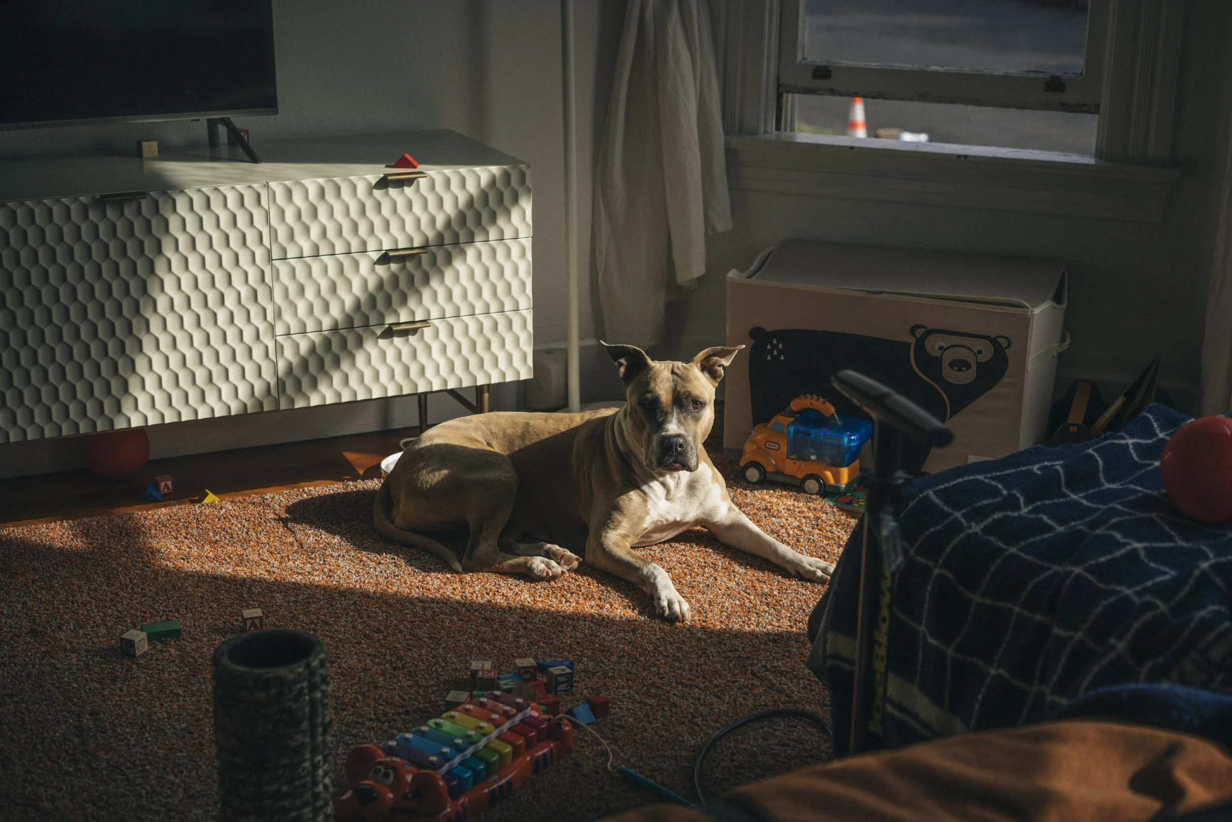 20180921-emmet_pearl-0177.jpg