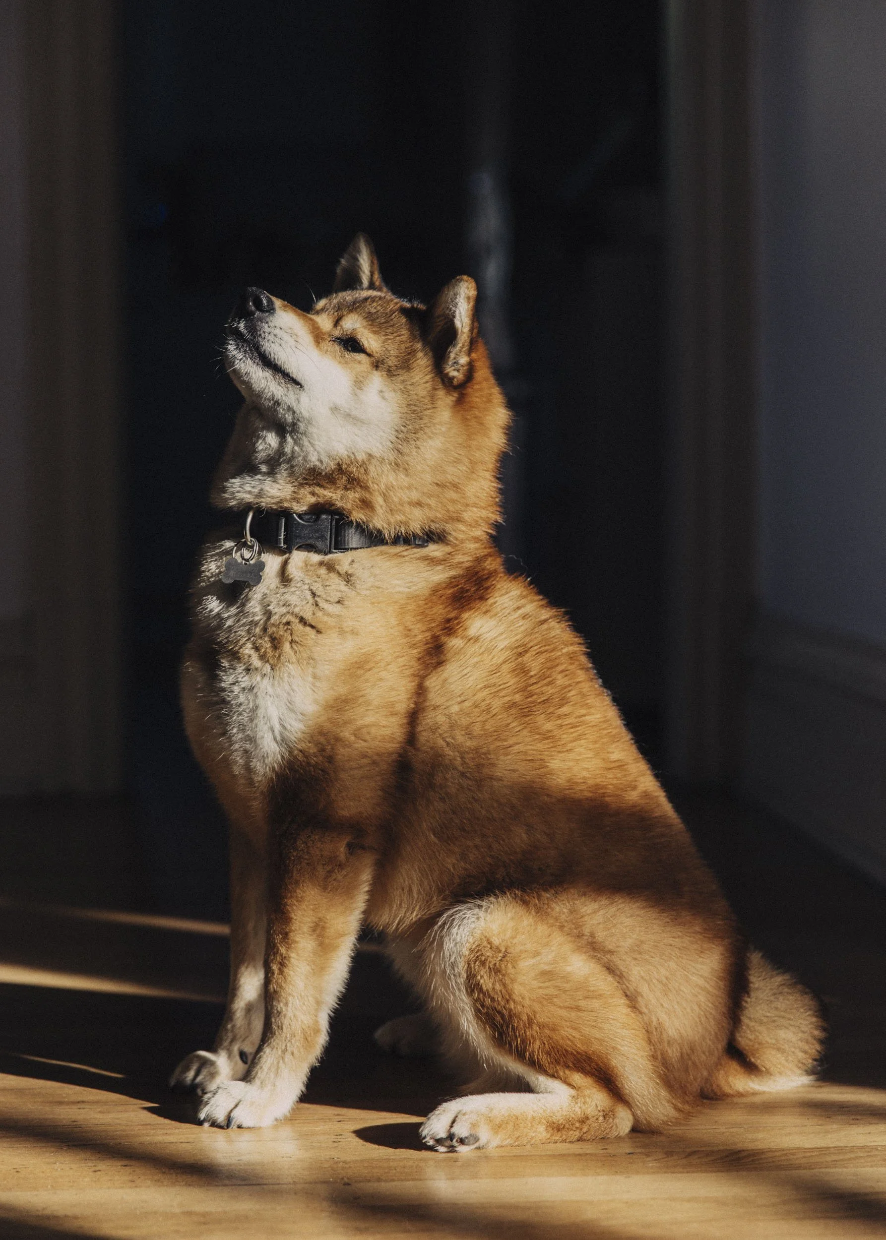 untitled-5595.jpg