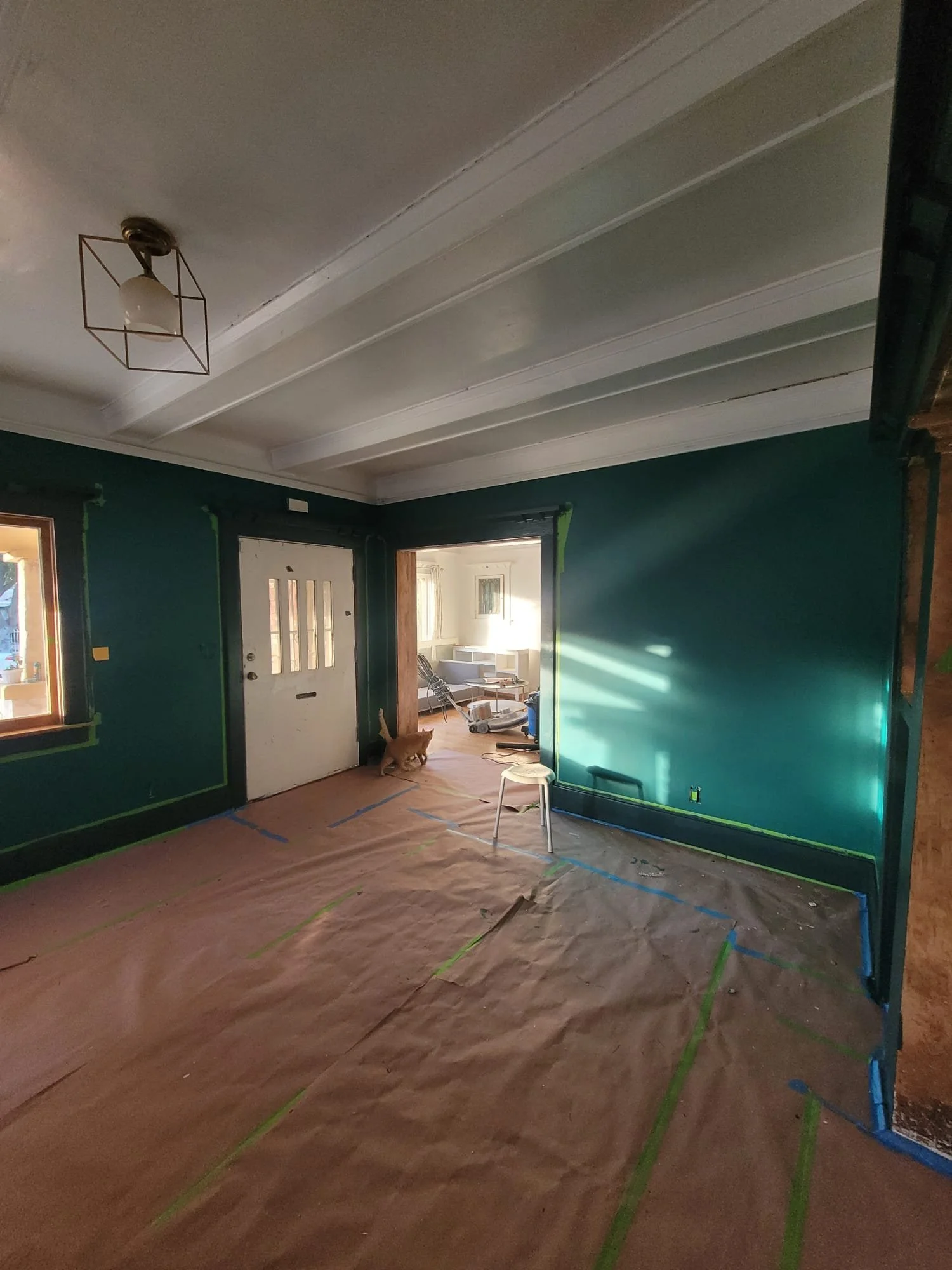 Living room undergoing renovation, with walls painted dark green, plastic sheeting on the floor, taped corners, a chair and a small dog present, and a doorway leading to a better-lit room.
