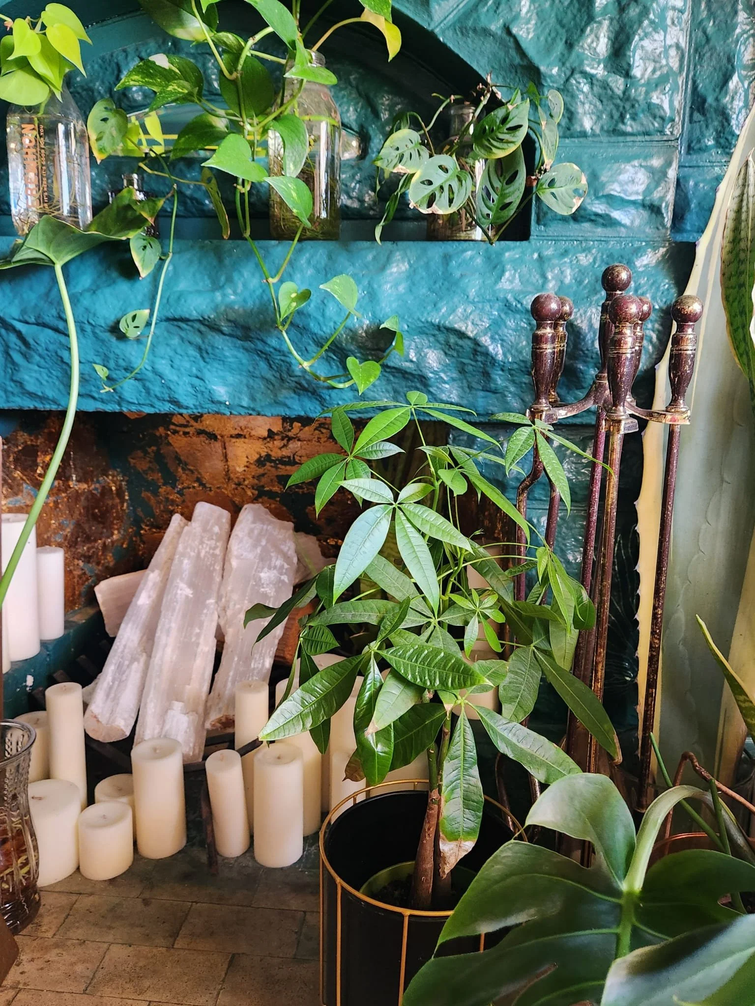 Indoor plant arrangement with various green plants and foliage, placed on shelves and around candles, with a textured blue wall in the background.