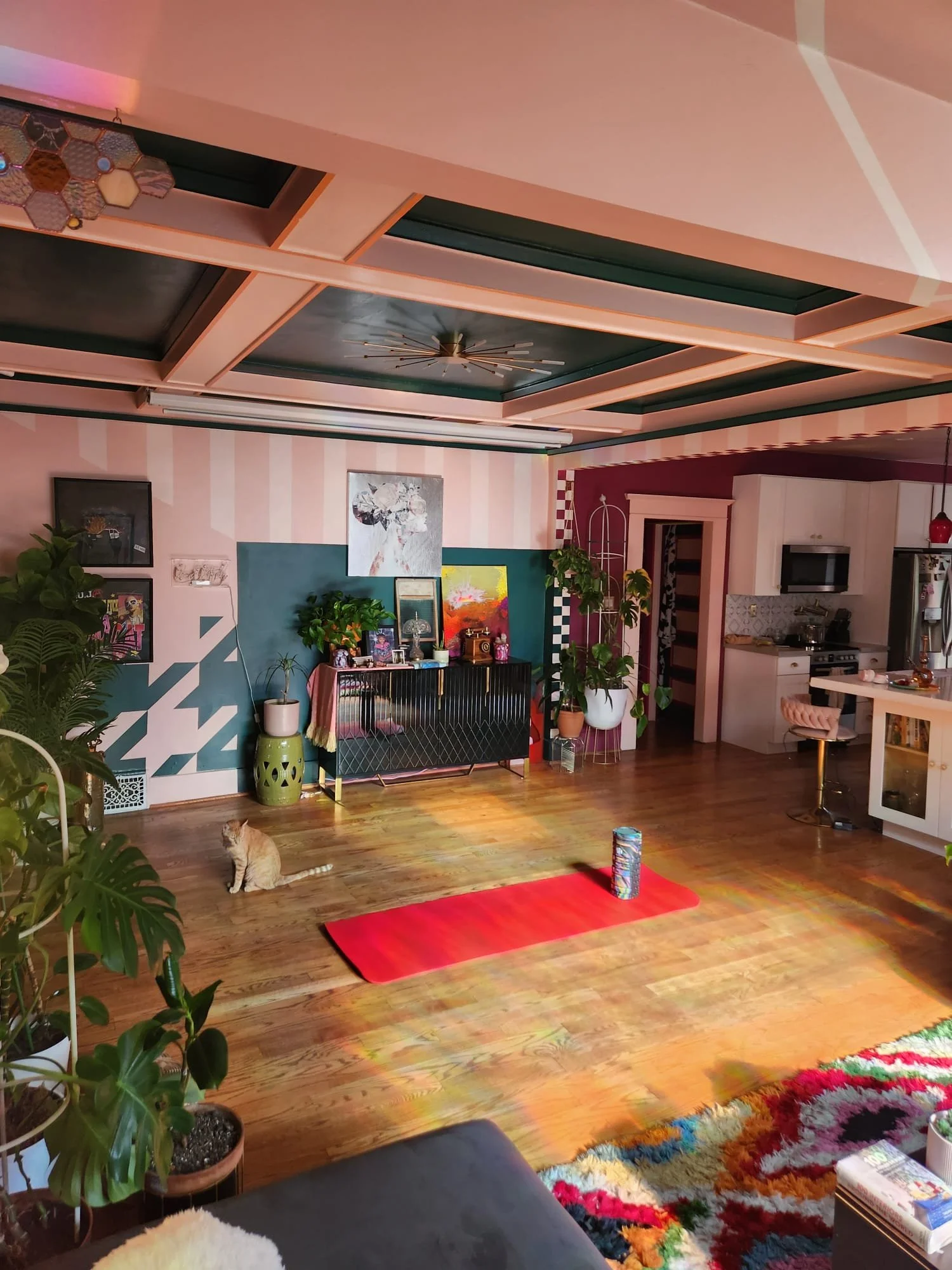 An interior living room with a wooden floor, plants, colorful artworks, and a small cat sitting on the floor. There is a red yoga mat with a colorful patterned foam roller, and a multicolored shaggy rug in the foreground. The ceiling has modern light
