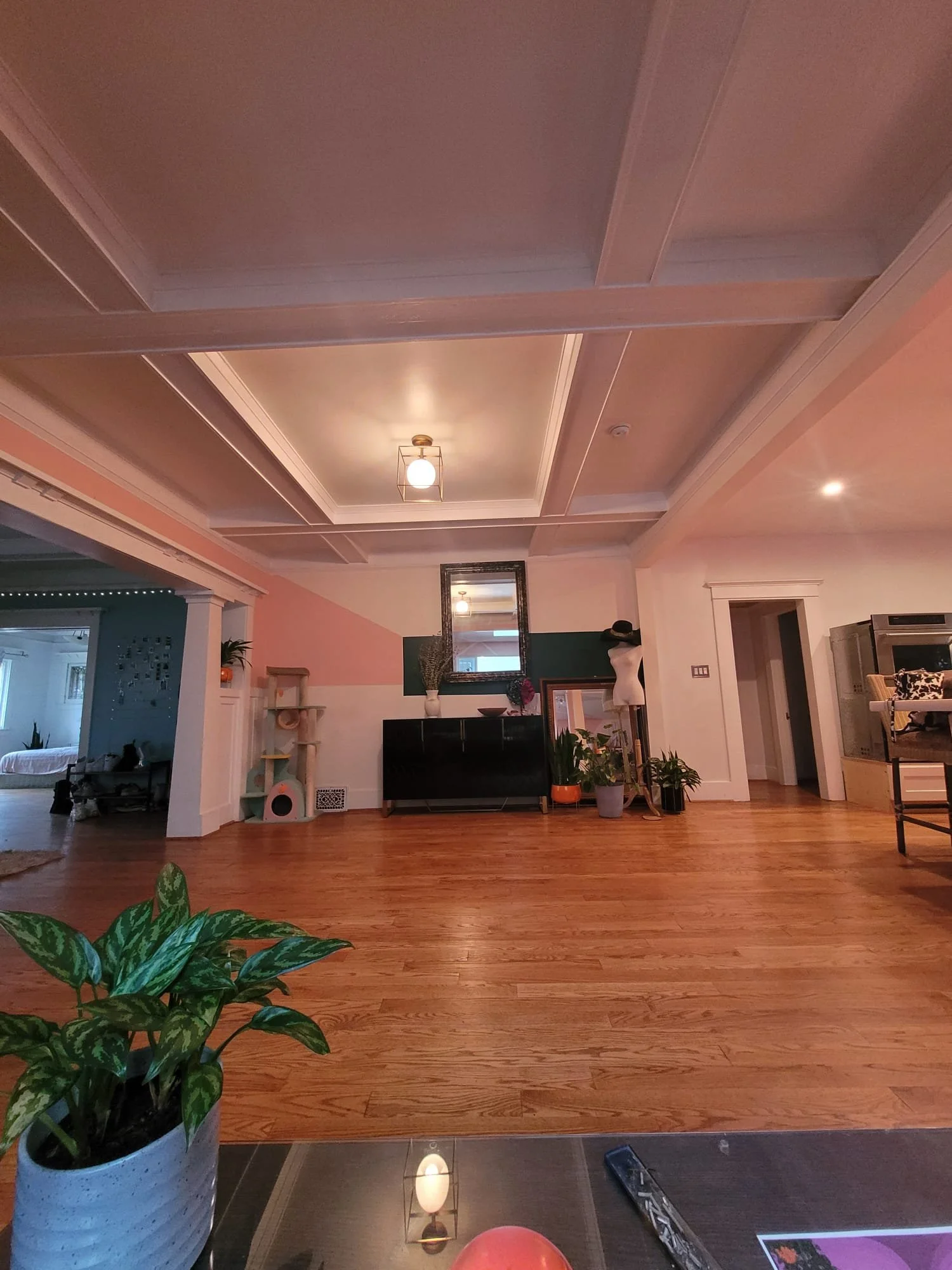 Interior view of a living room with a wooden floor, white walls with pink accents, a black TV stand with potted plants, and a mirror on the wall. There is a ceiling light fixture and a doorway leading to another room. A large potted plant is visible 