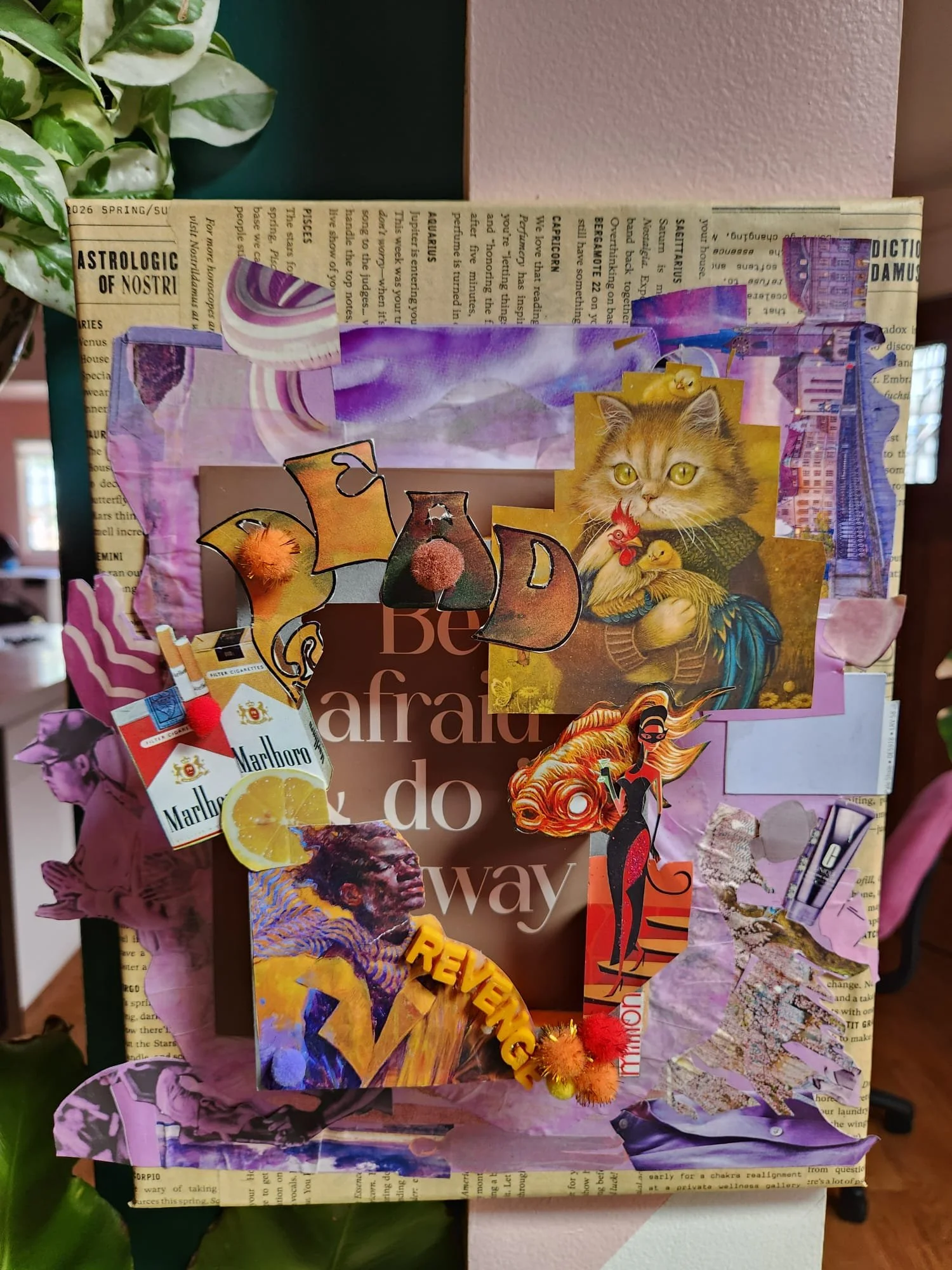 20260715_213846_AC2283.jpeg