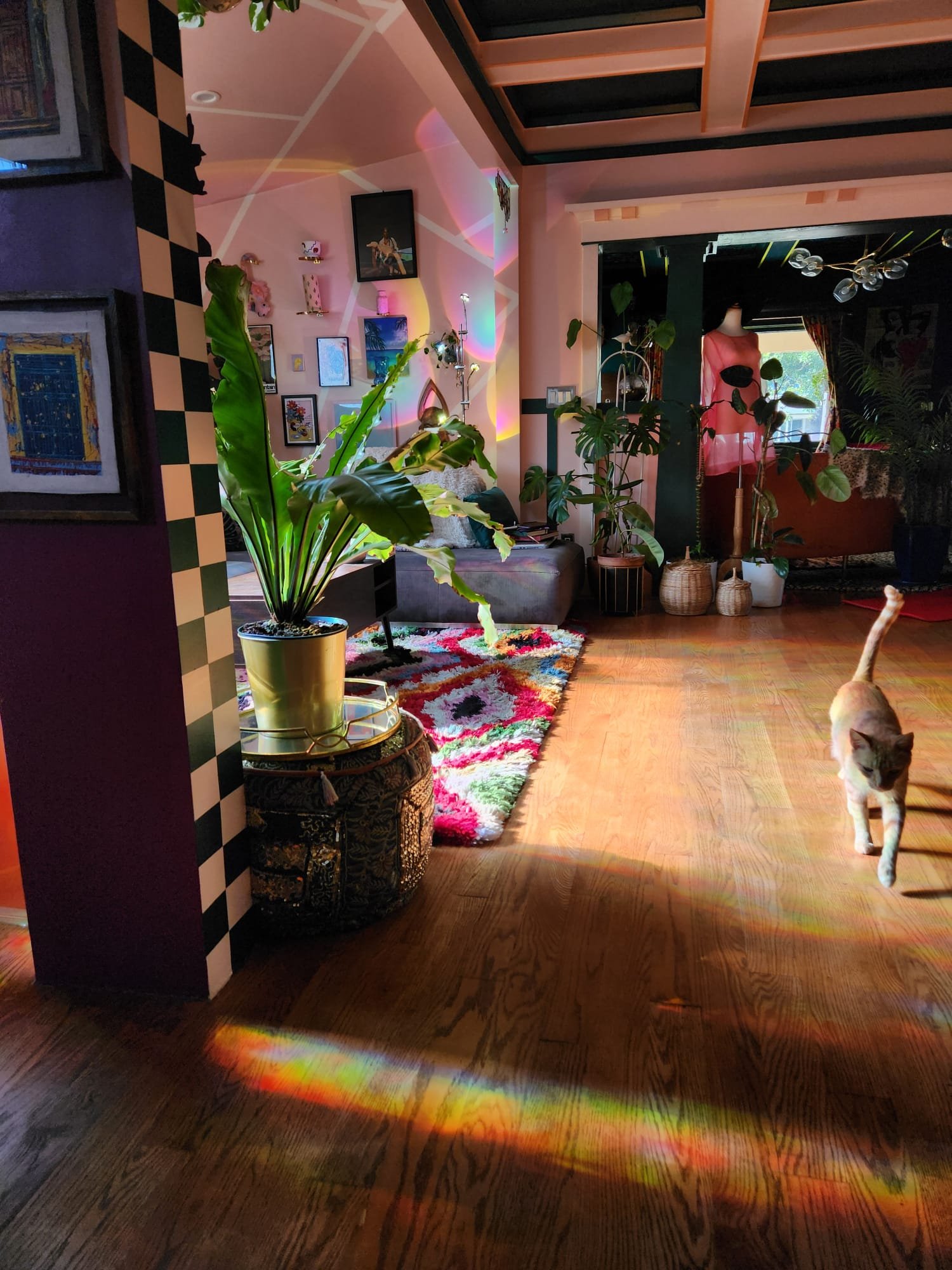 Interior of a colorful living room with plants, art on the wall, a mannequin draped in pink fabric, and a cat walking on the wooden floor. Sunlight creates rainbow-like reflections on the floor.