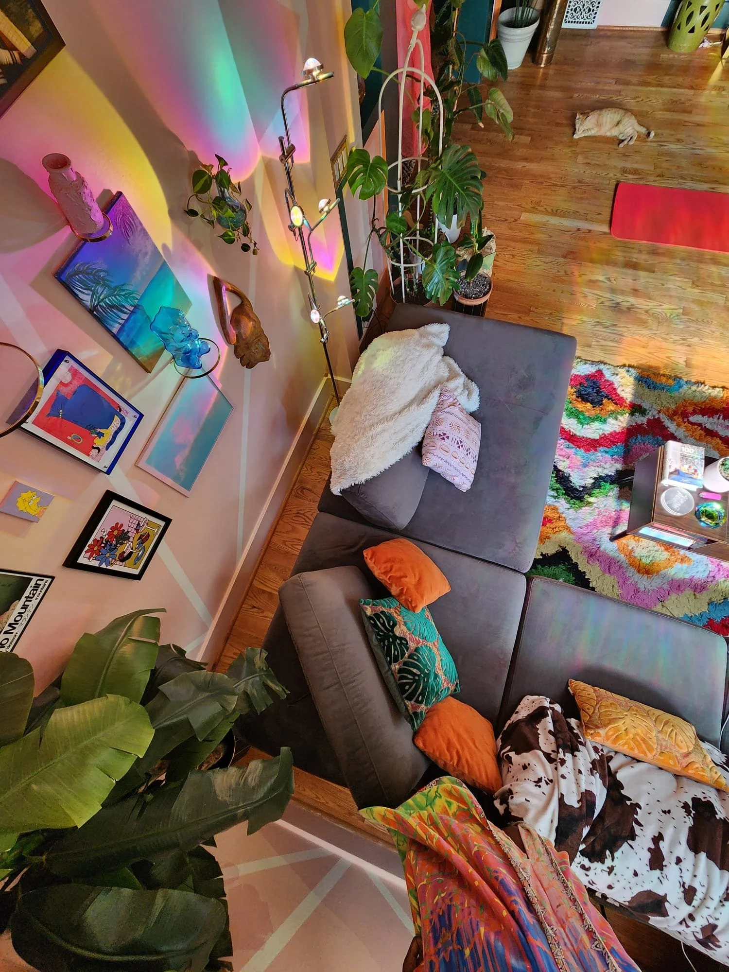 Living room with gray sectional sofa decorated with colorful pillows, a plush throw blanket, and a cow print blanket. There is a multicolored rainbow rug on the wooden floor. The wall is decorated with framed artwork and a rainbow-colored light displ