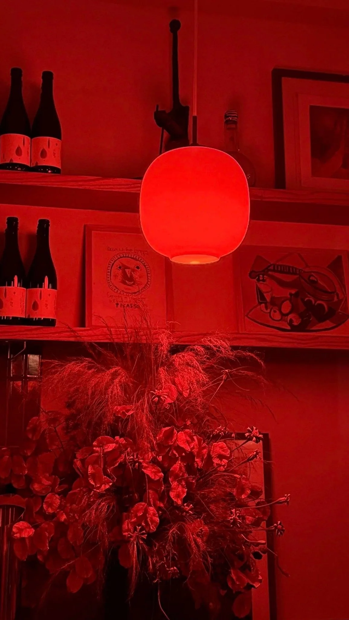 A red glowing spherical pendant light hanging above a plant with red leaves and trails, mounted on a wall with framed artwork and bottles on shelves.
