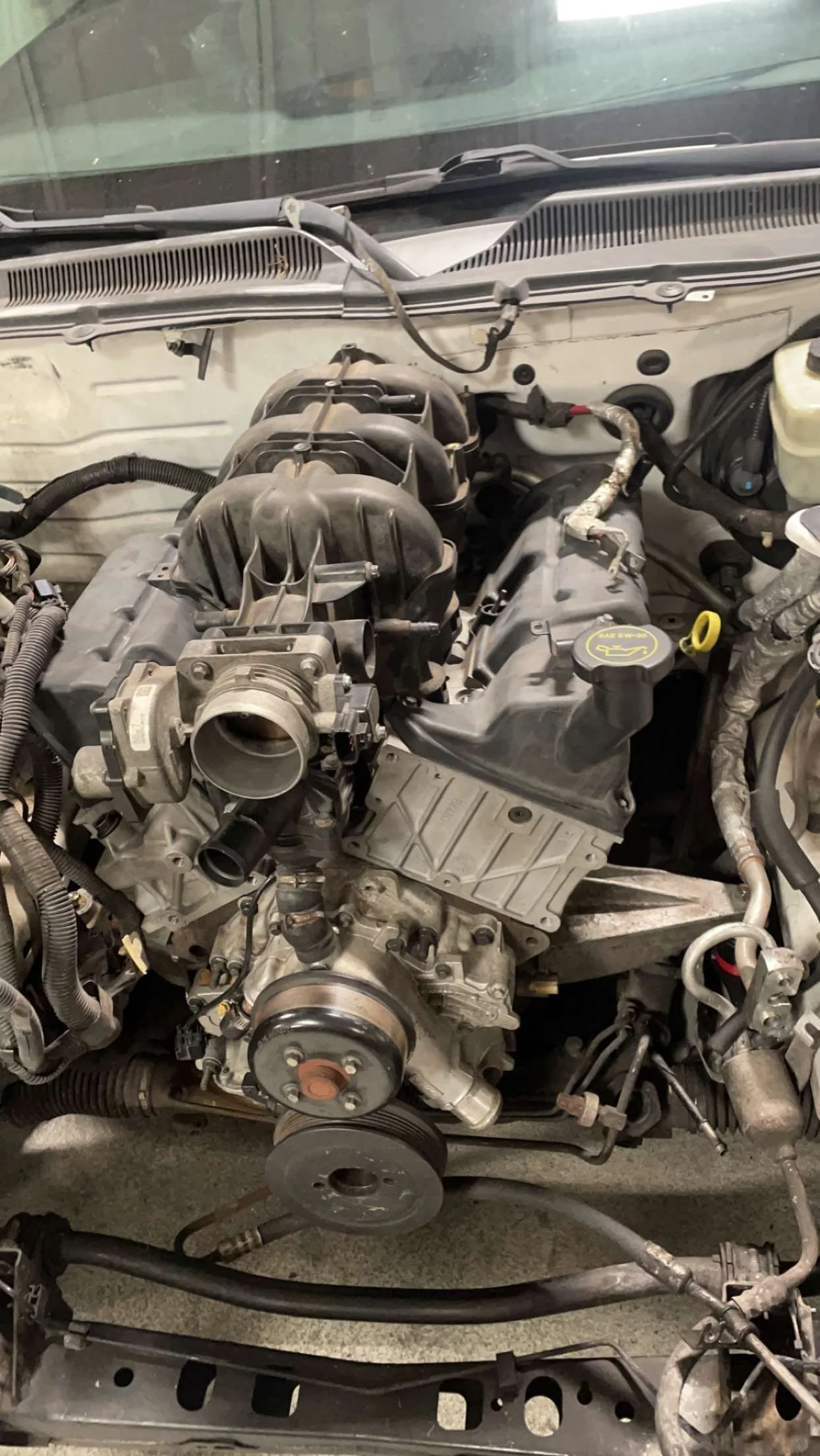 Car engine removed from vehicle, showing various engine components and belts.