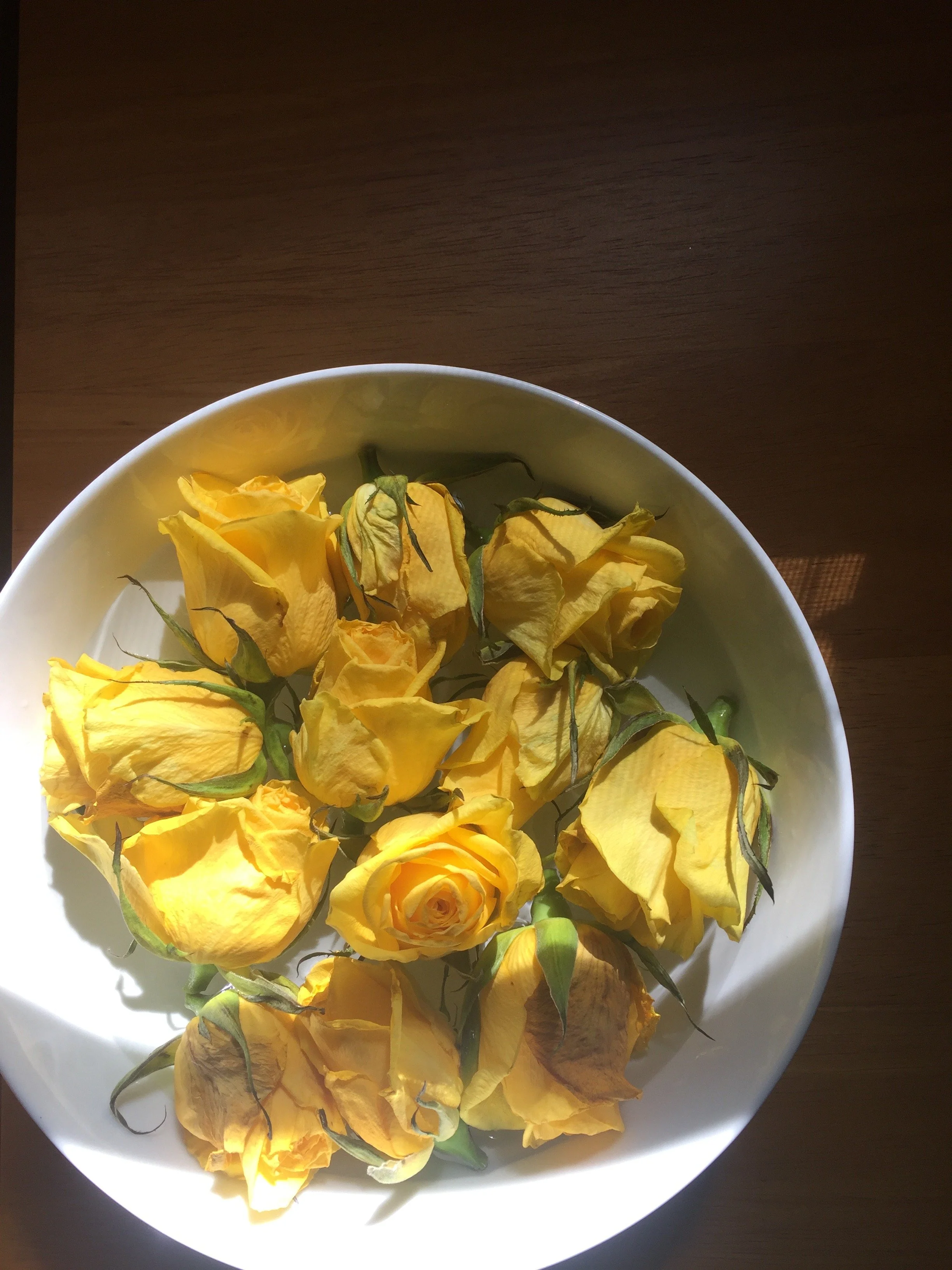 A white bowl filled with yellow roses and yellow flower petals on a wooden surface.