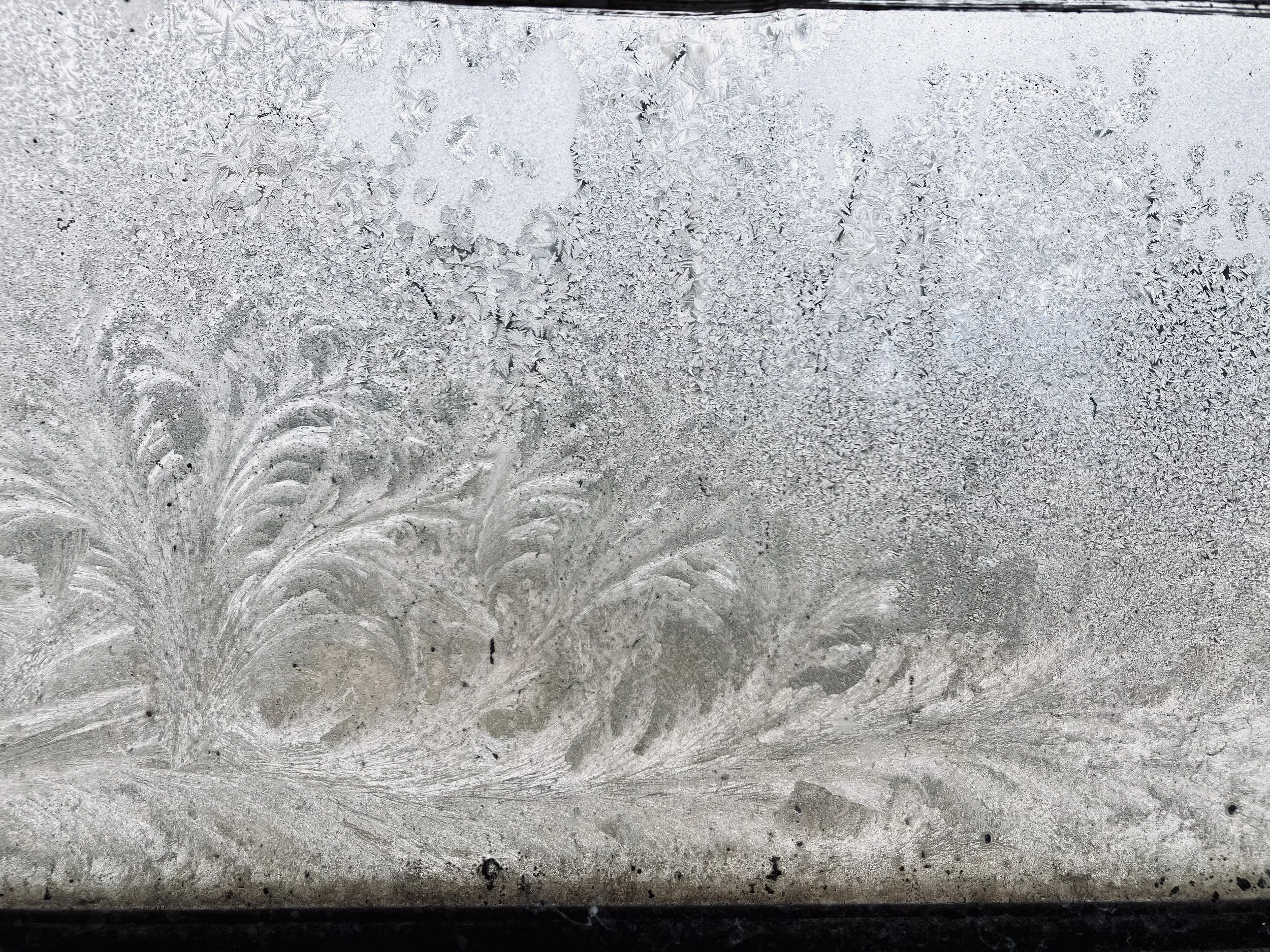 Close-up of a frost pattern on a window with a decorative floral design in the bottom left corner.