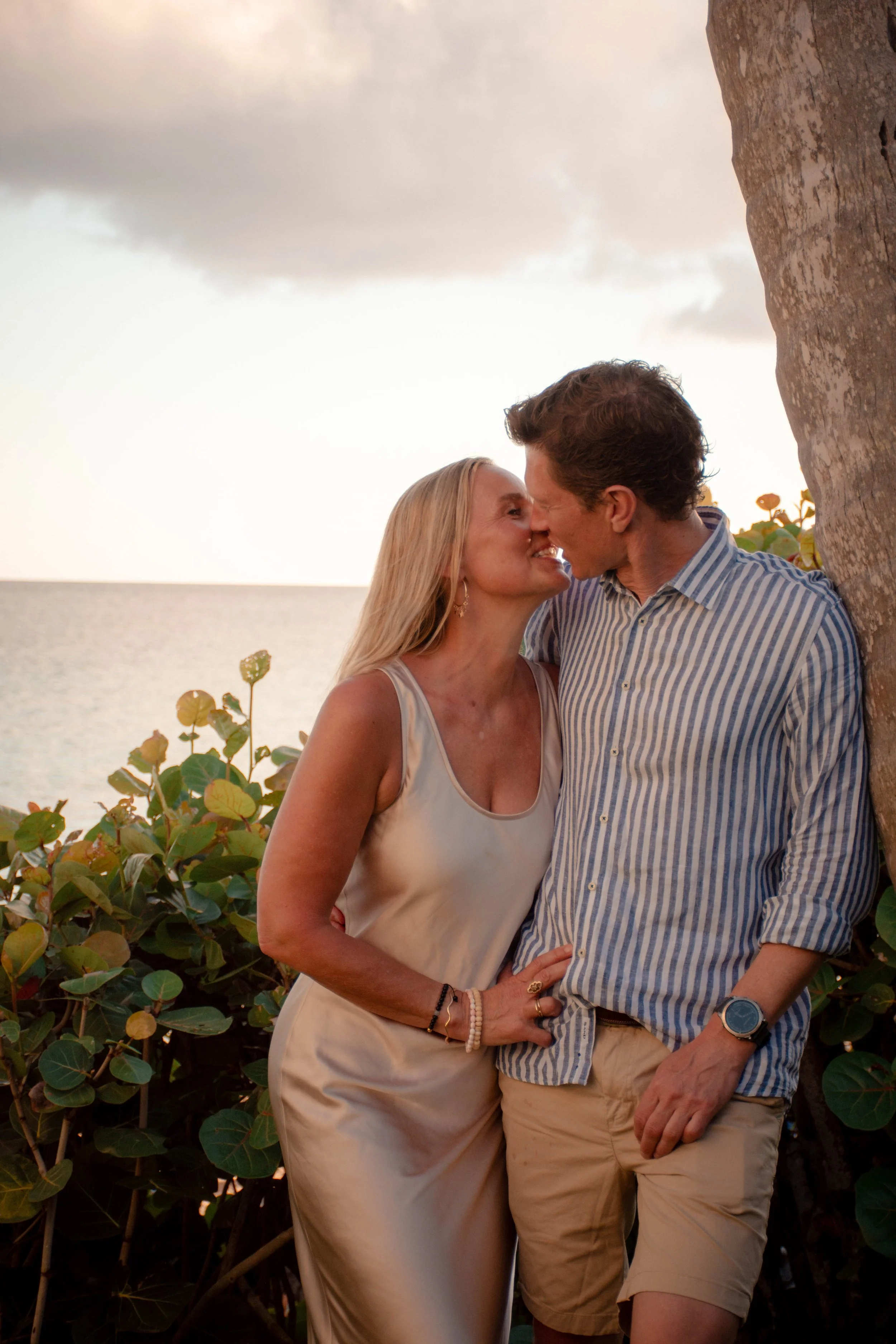 A couple stands close together on a beach near a tree, leaning in with their foreheads touching, smiling against a sunset sky.