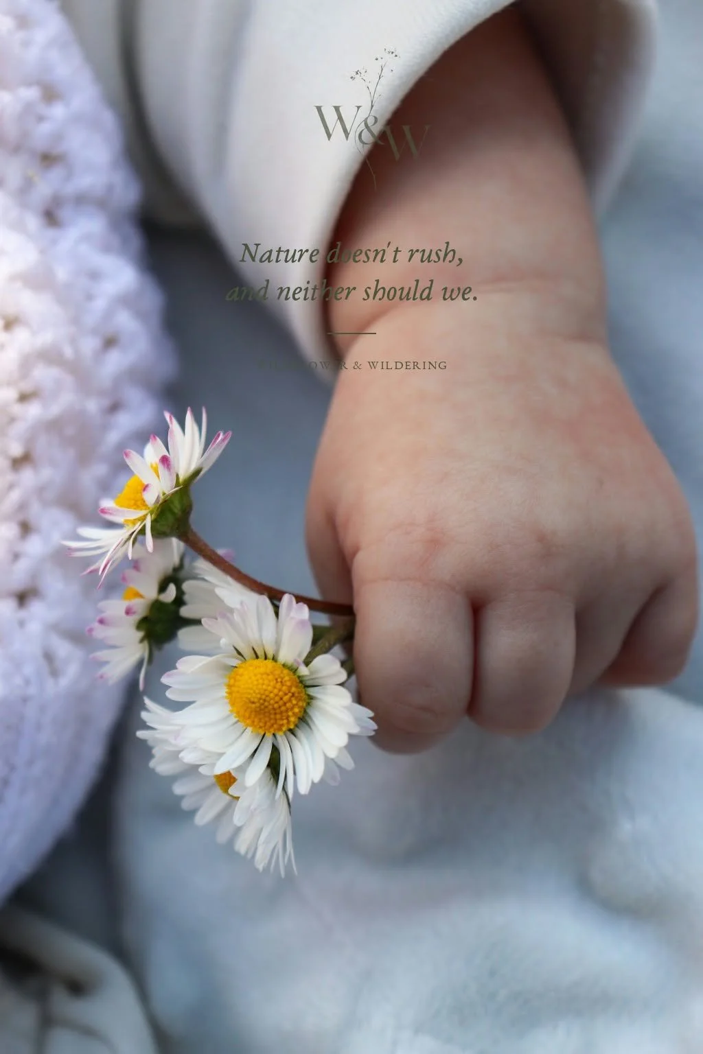 Close-up of a child's hand holding a small bouquet of daisies, with overlaid text about nature and a quote by Flower & Wildering.