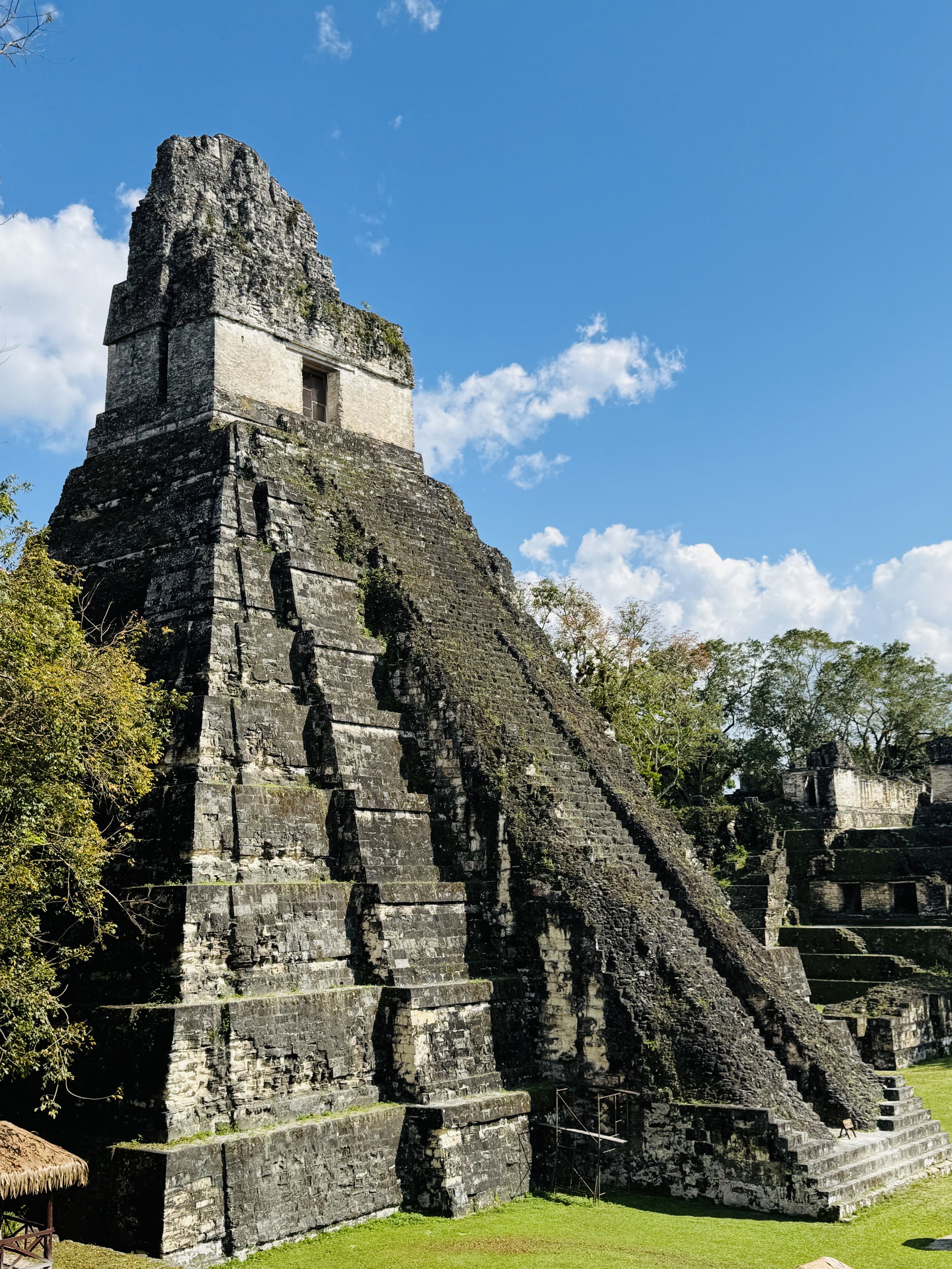 Maya.jpg