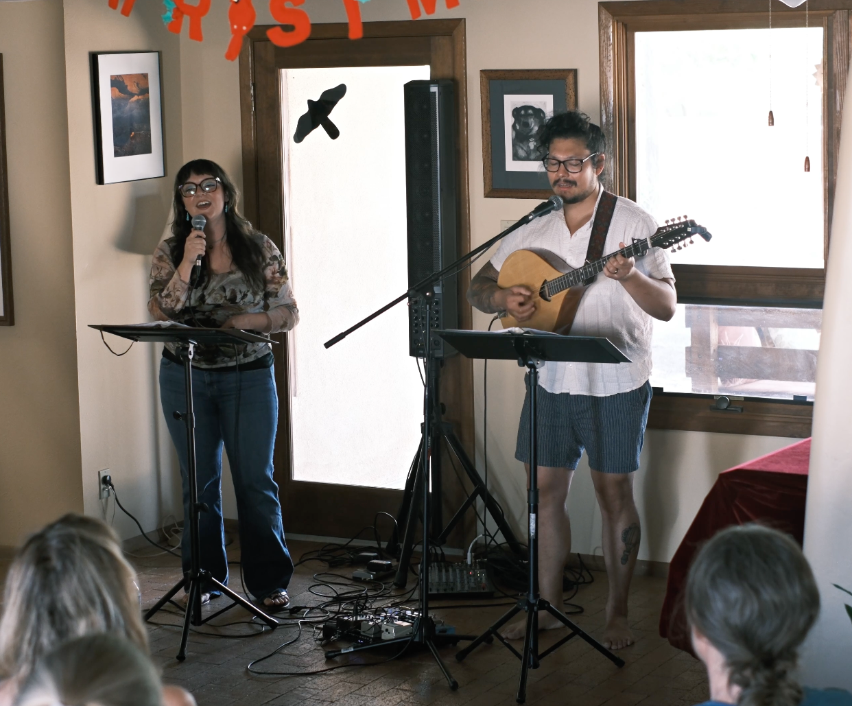 Secret Moss Meadow performing a house concert of Irish and folk music in Corrales, New Mexico