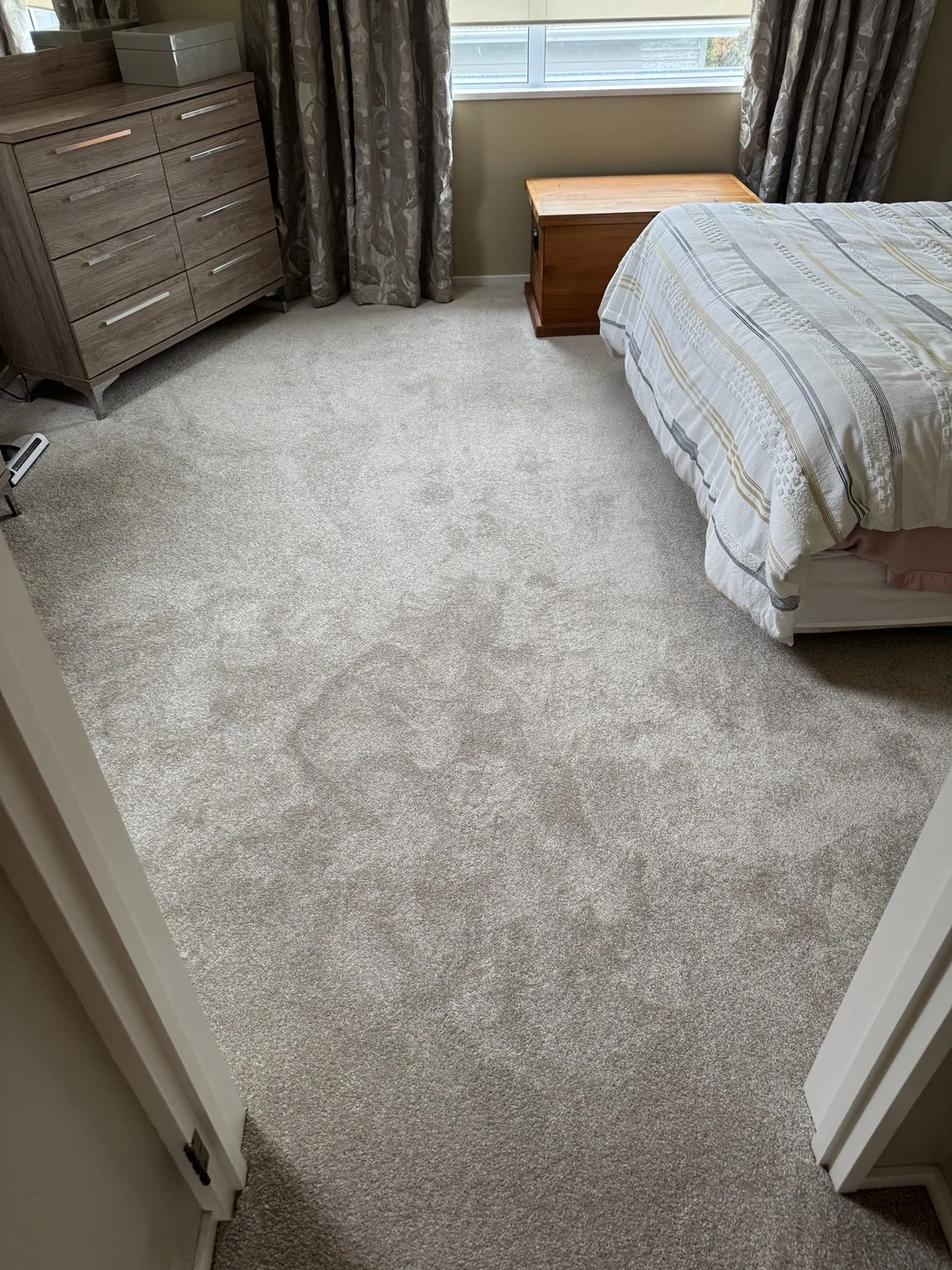 Wool cutpile carpet