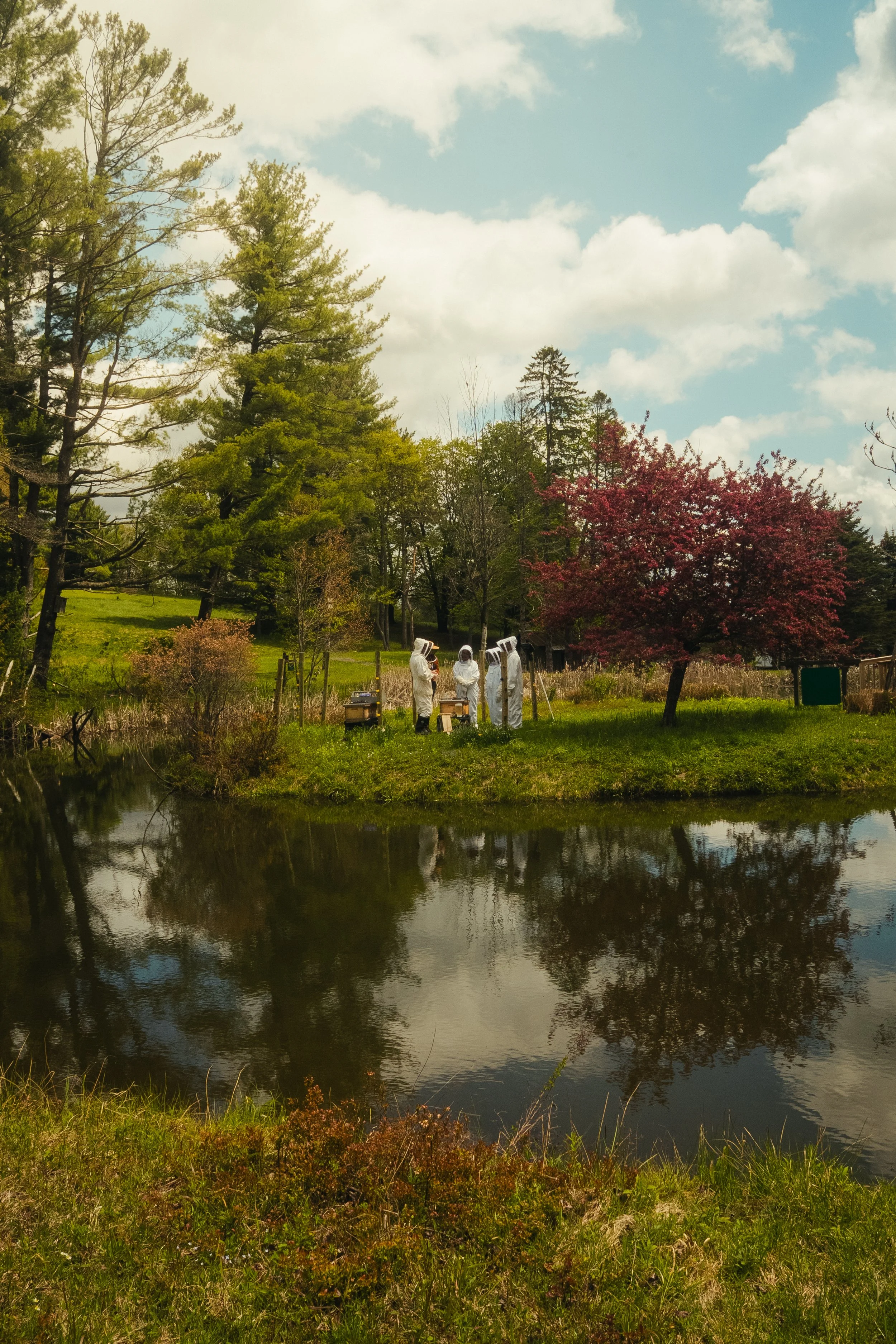 Honey &amp; Hive at Hemlock Neversink