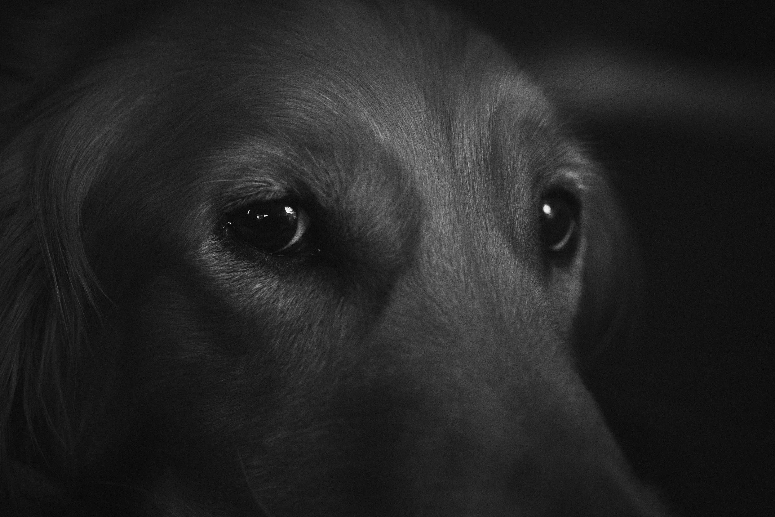 Sophia Chilling-01.jpg