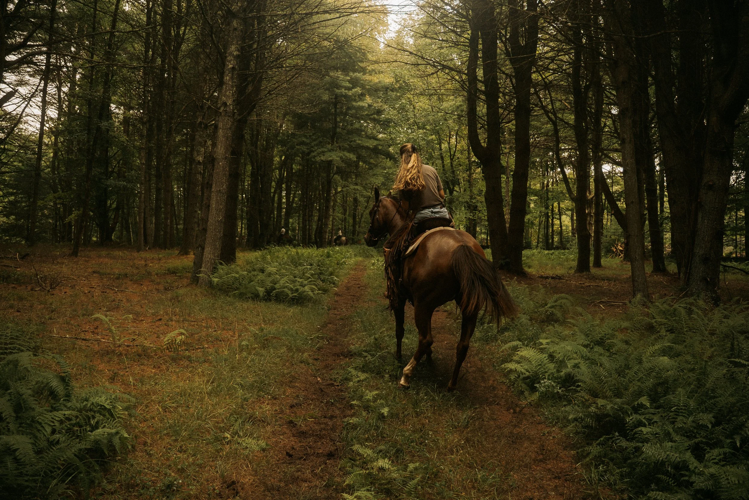 Driftwood Ranch-225.jpg