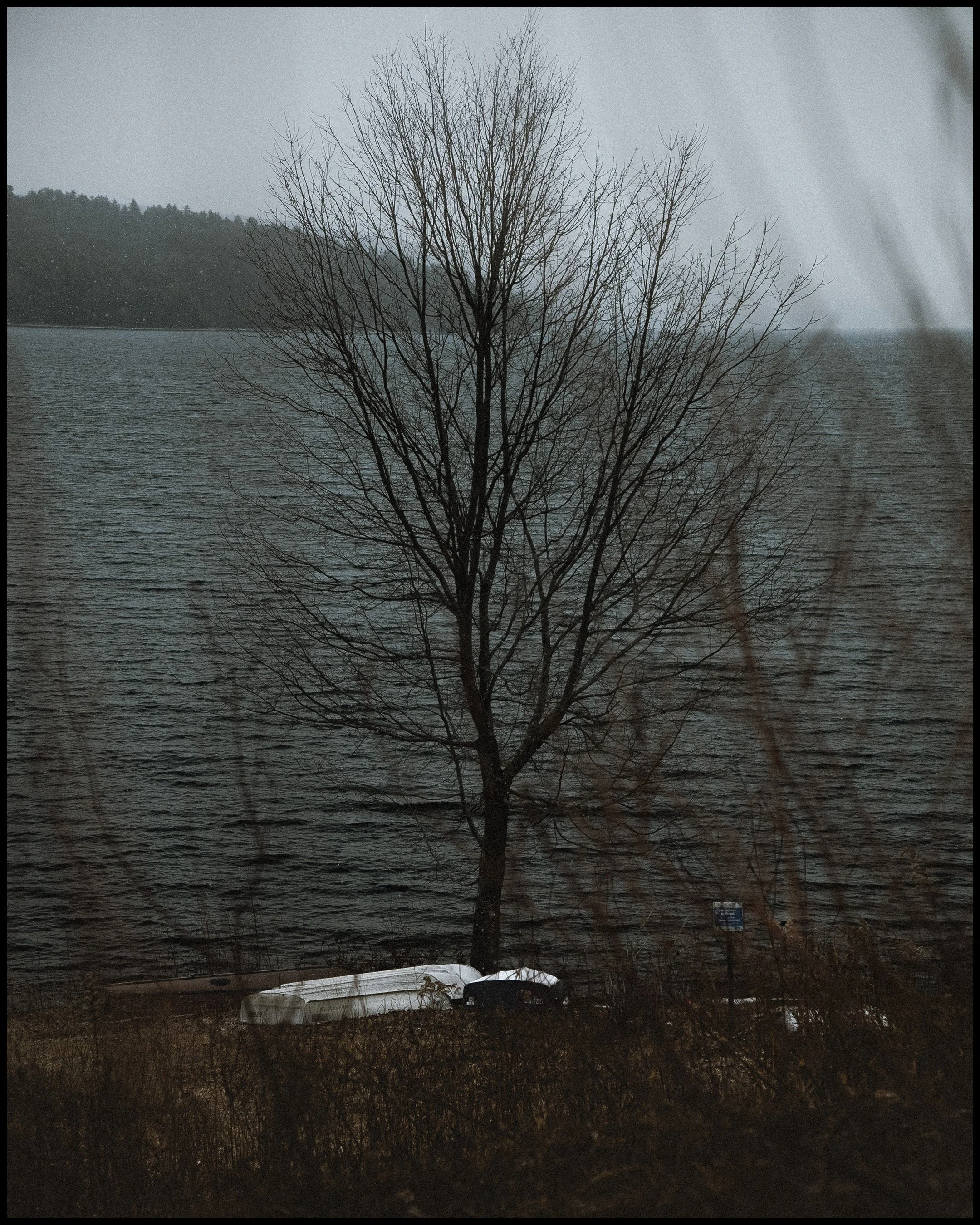 Down by the Water-Framed 8.jpg