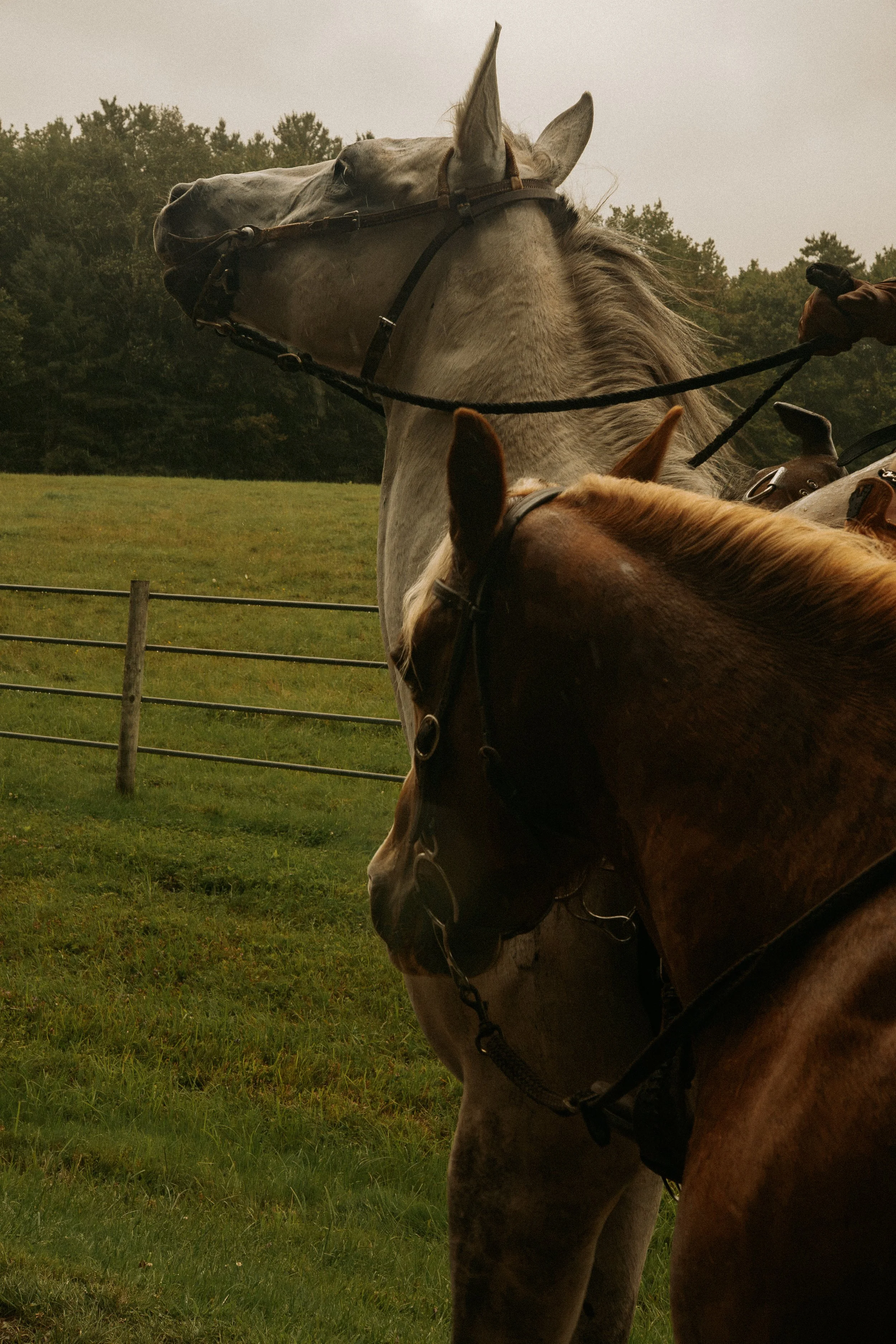 Driftwood Ranch-176.jpg