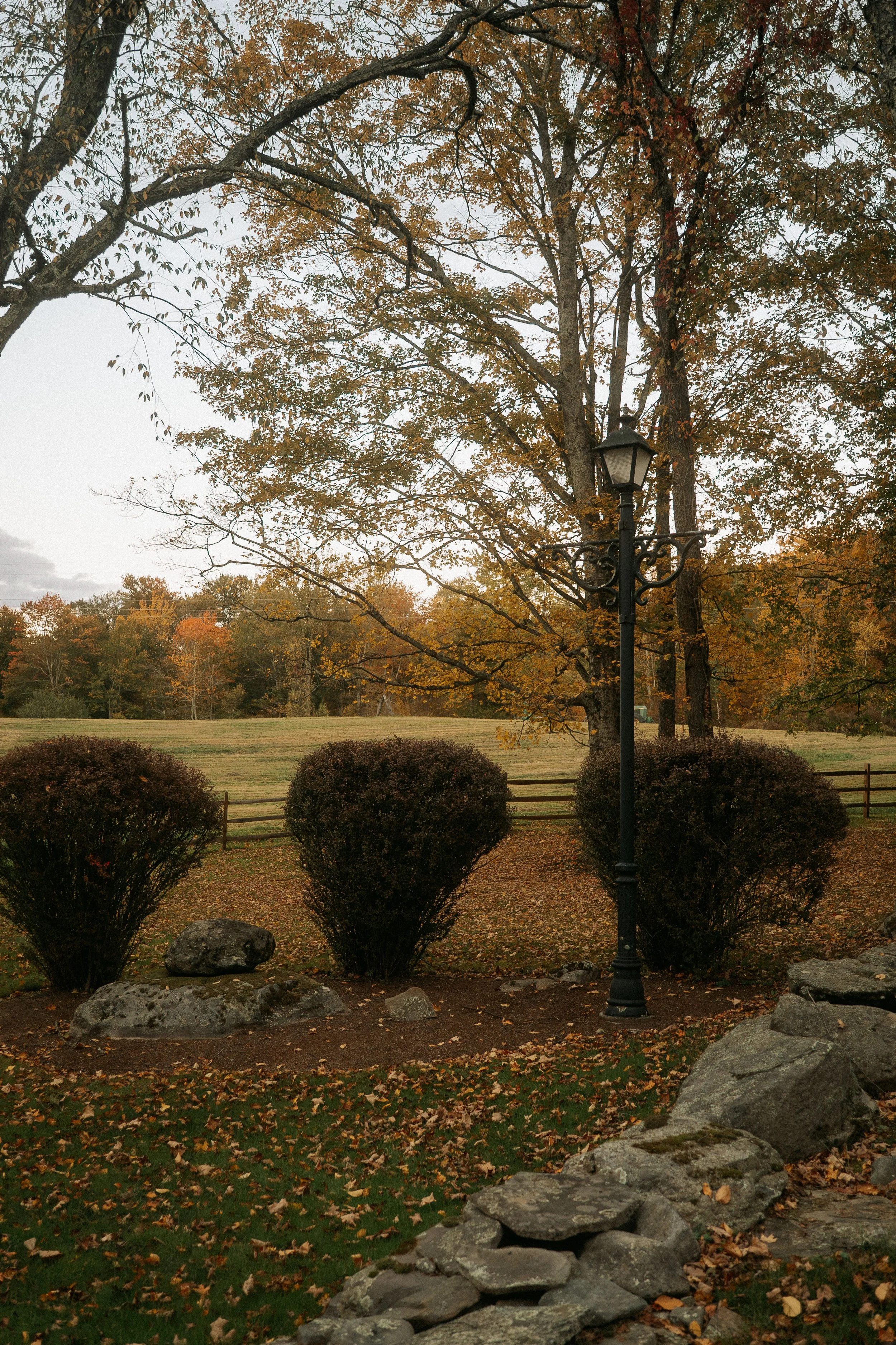 An Autumn Sunset-11.jpg