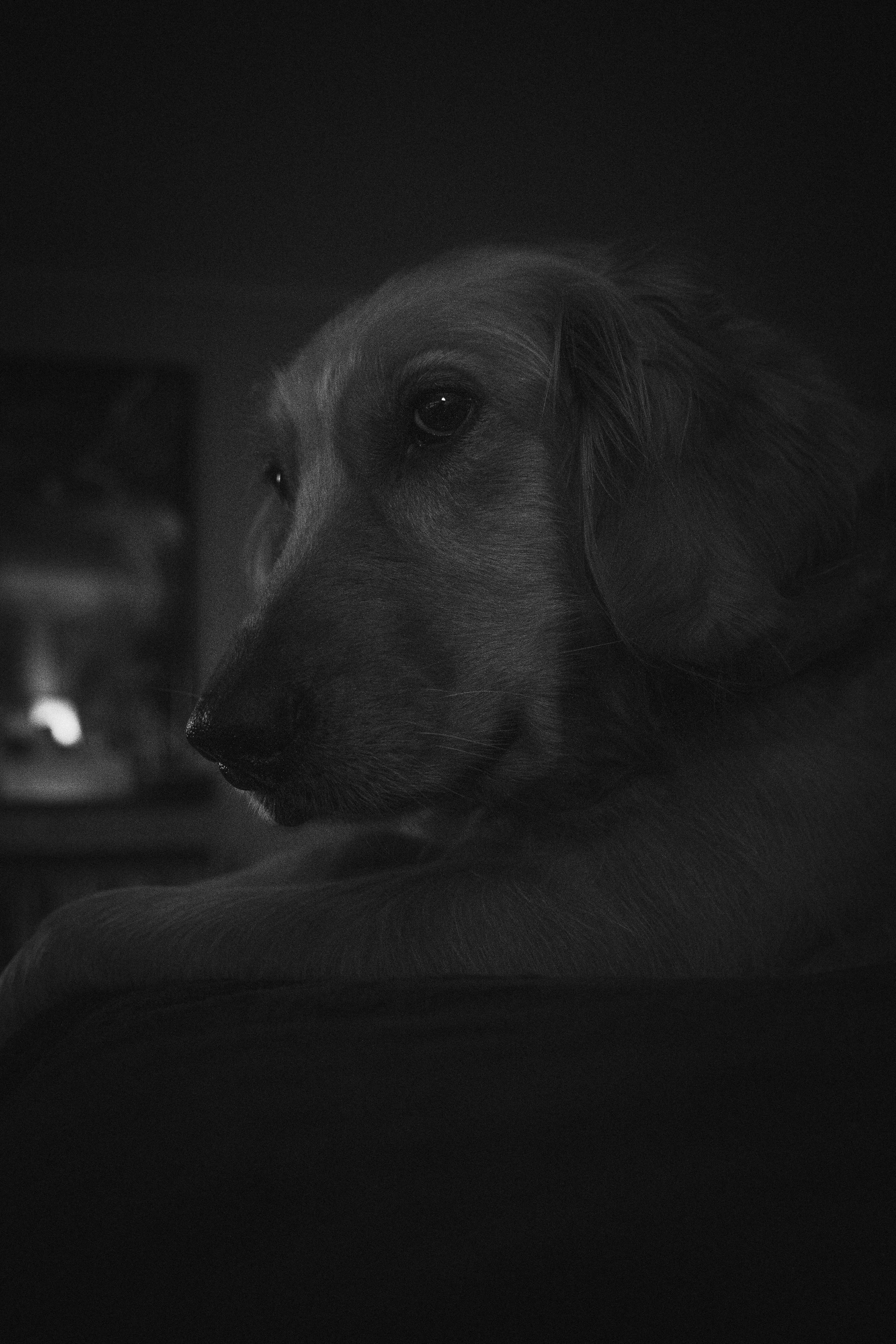 Sophia Chilling-06.jpg
