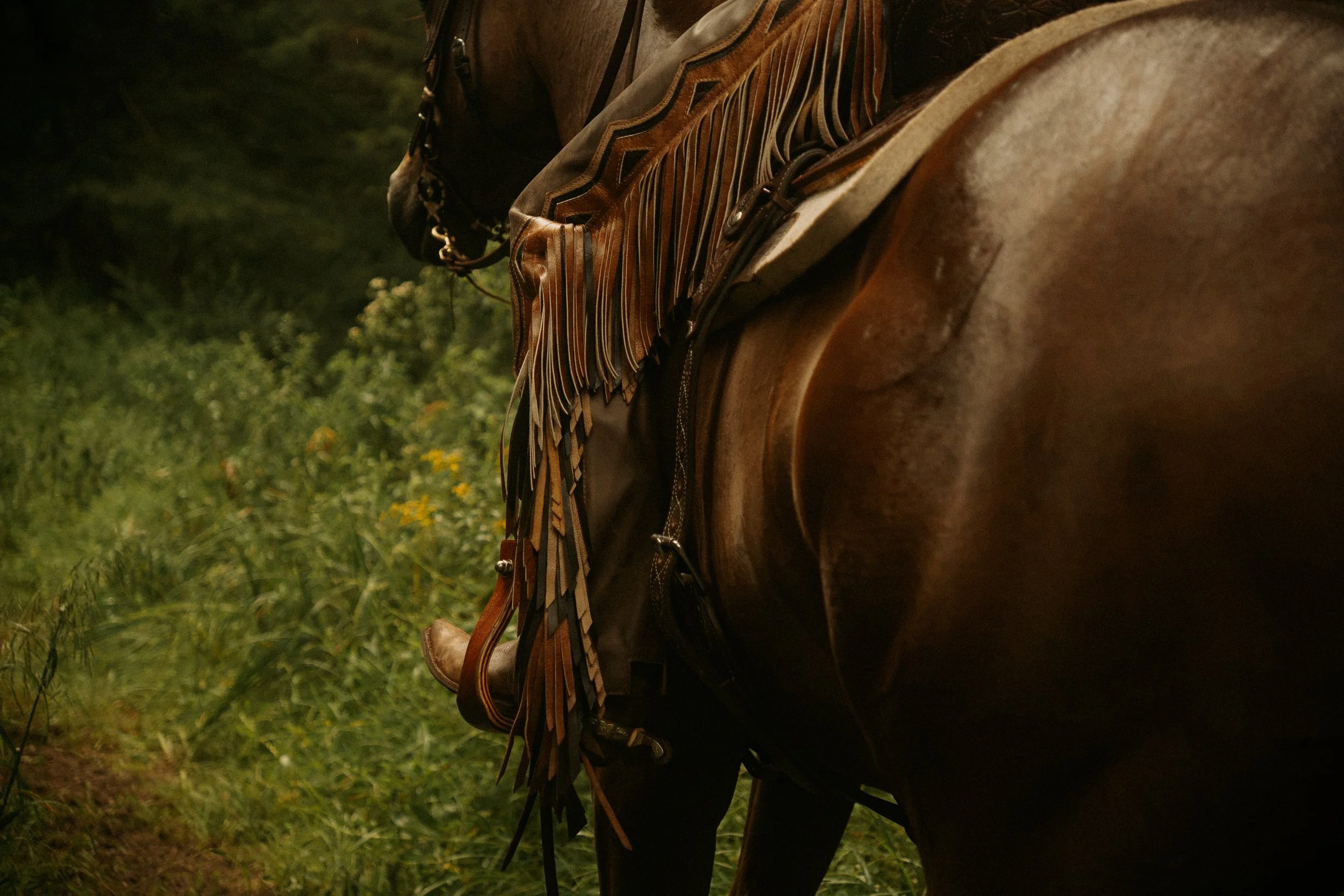 Driftwood Ranch-231.jpg