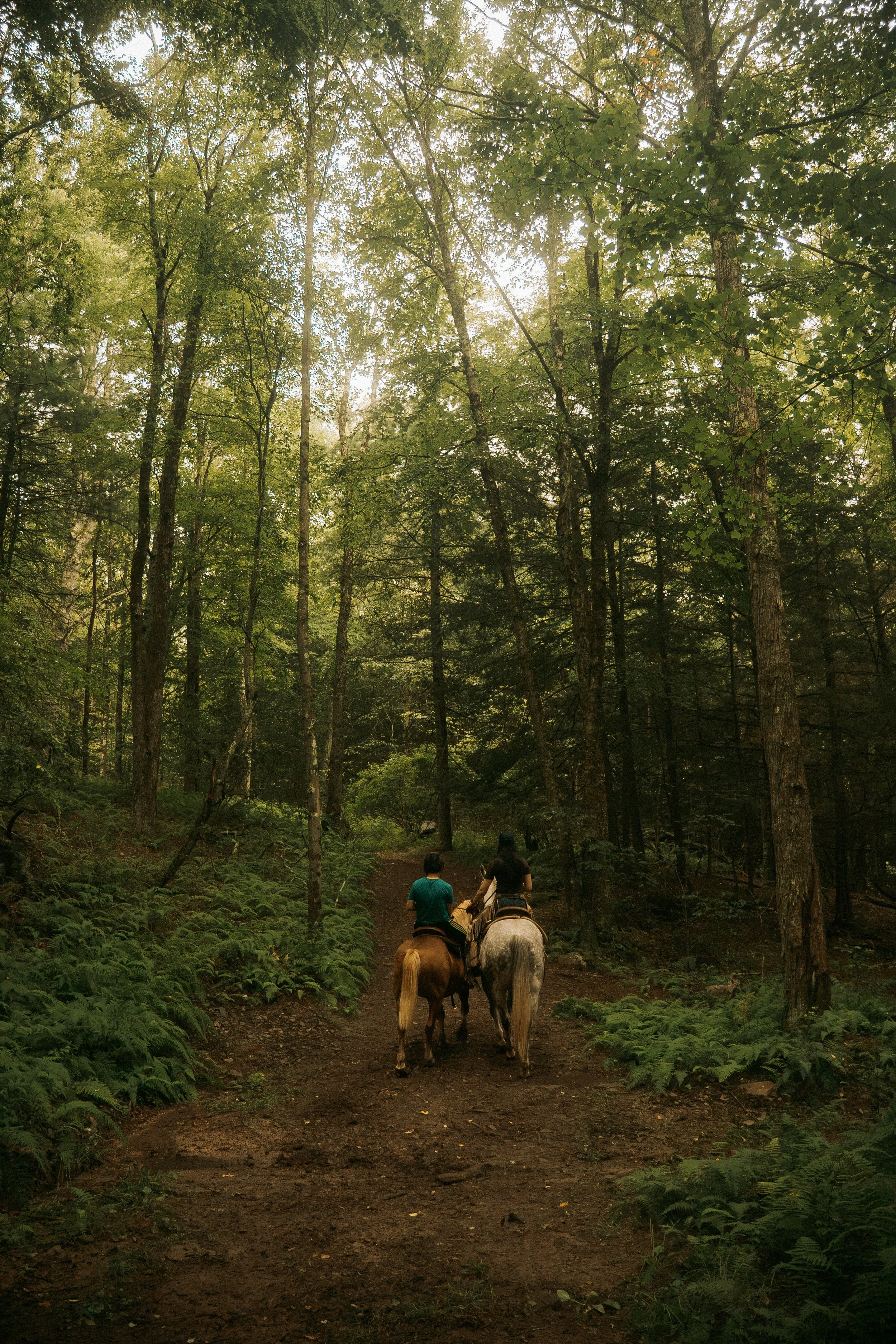Driftwood Ranch-206.jpg