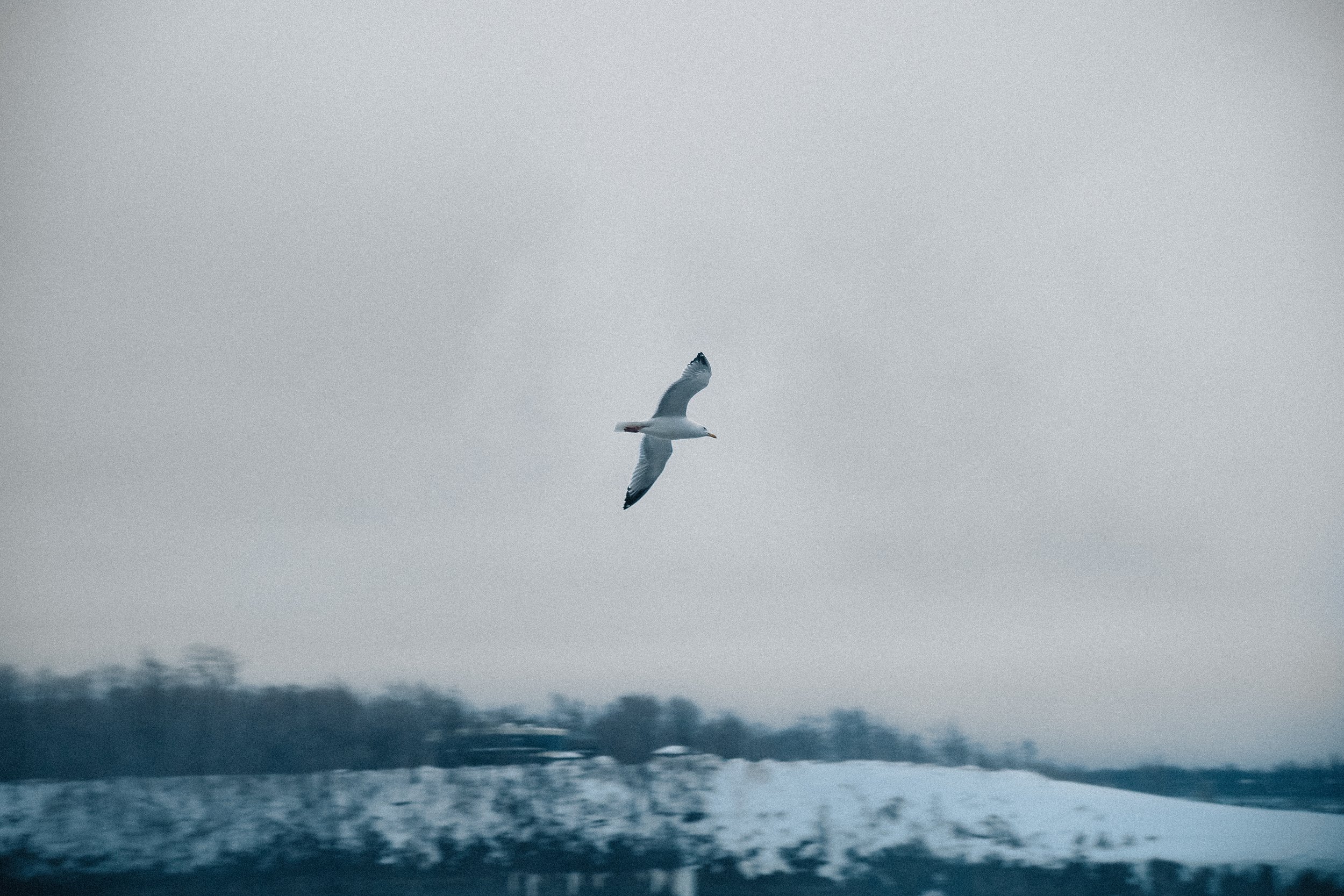 Niagara-17.jpg
