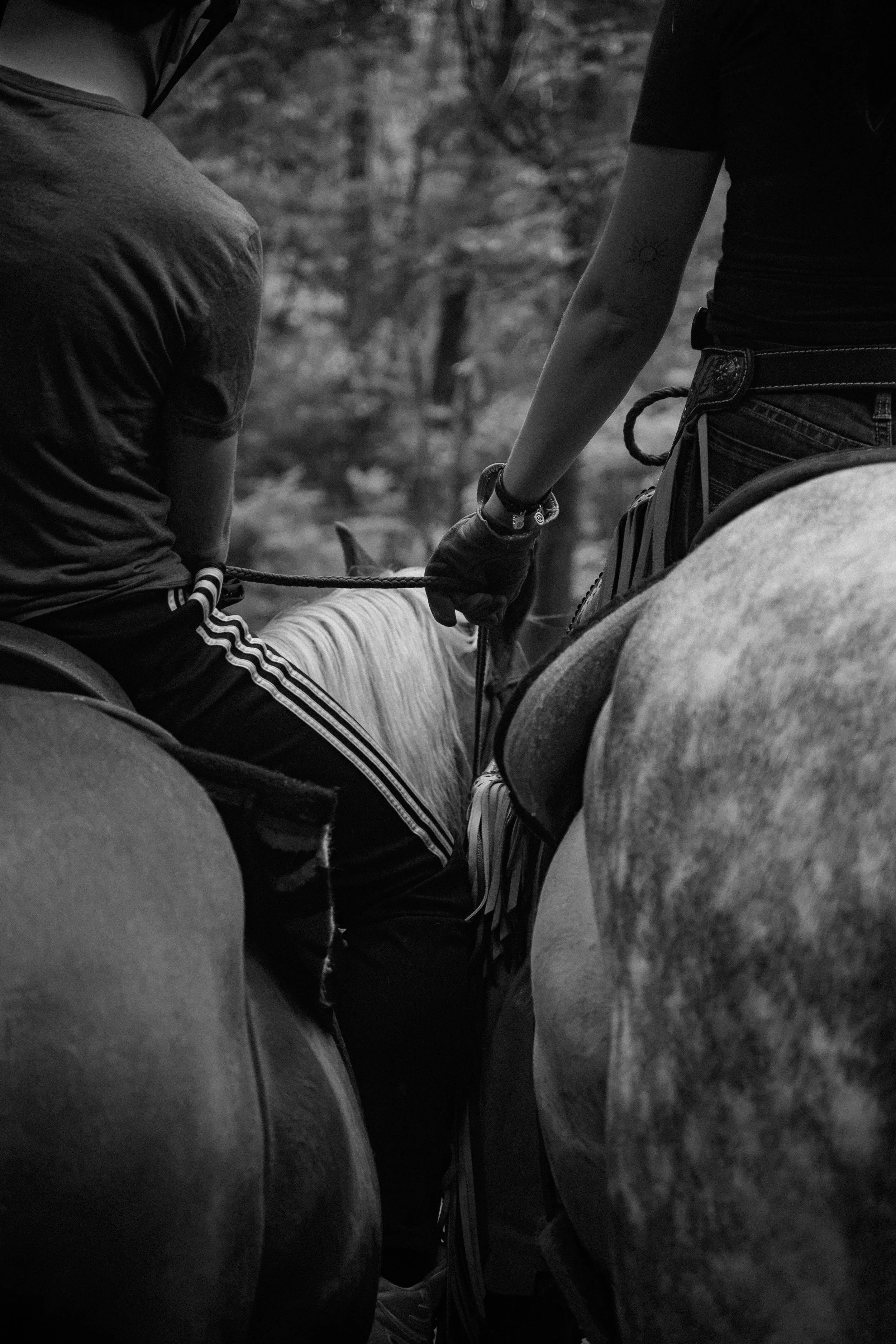 Driftwood Ranch-191.jpg