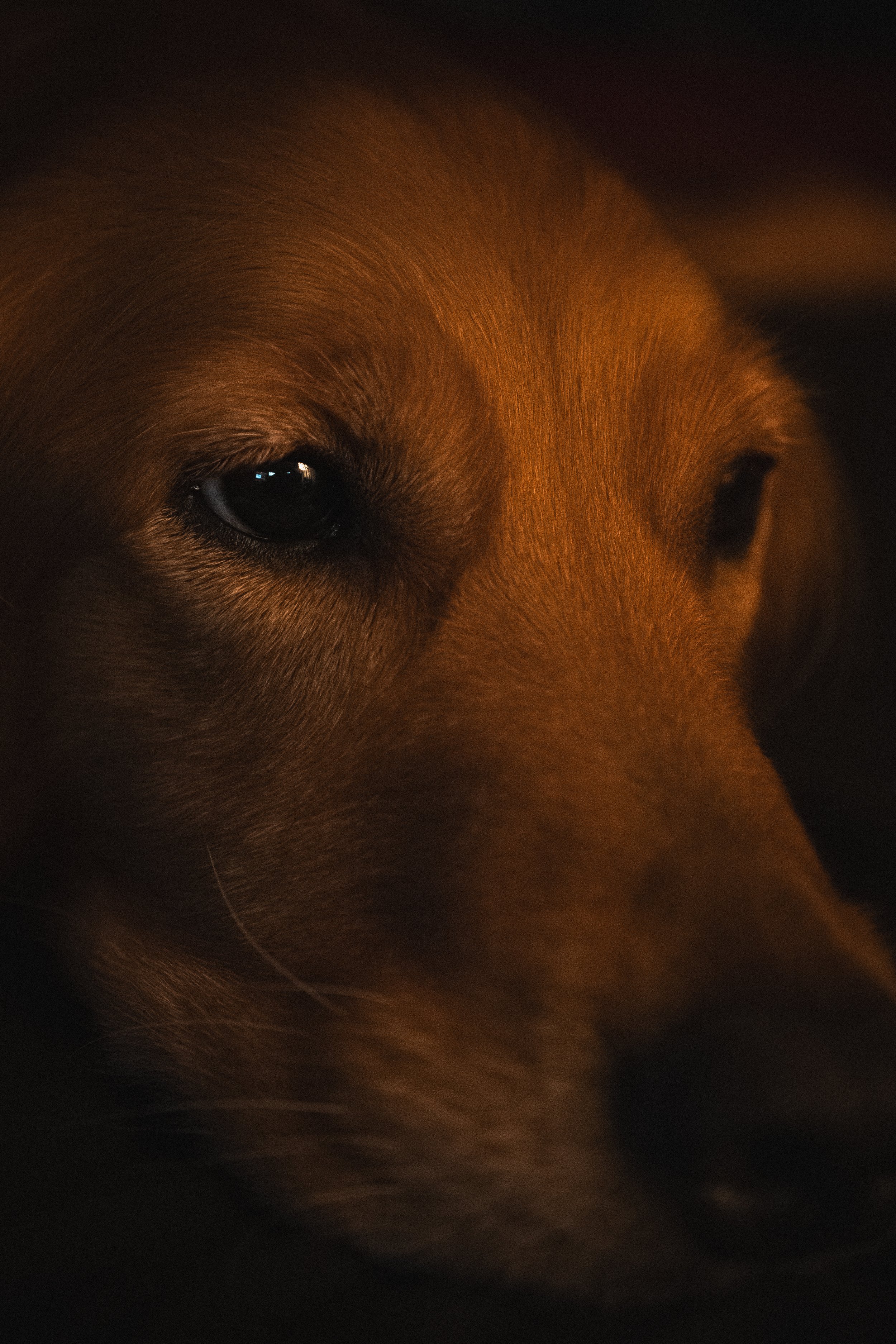 Sophia Chilling-02.jpg