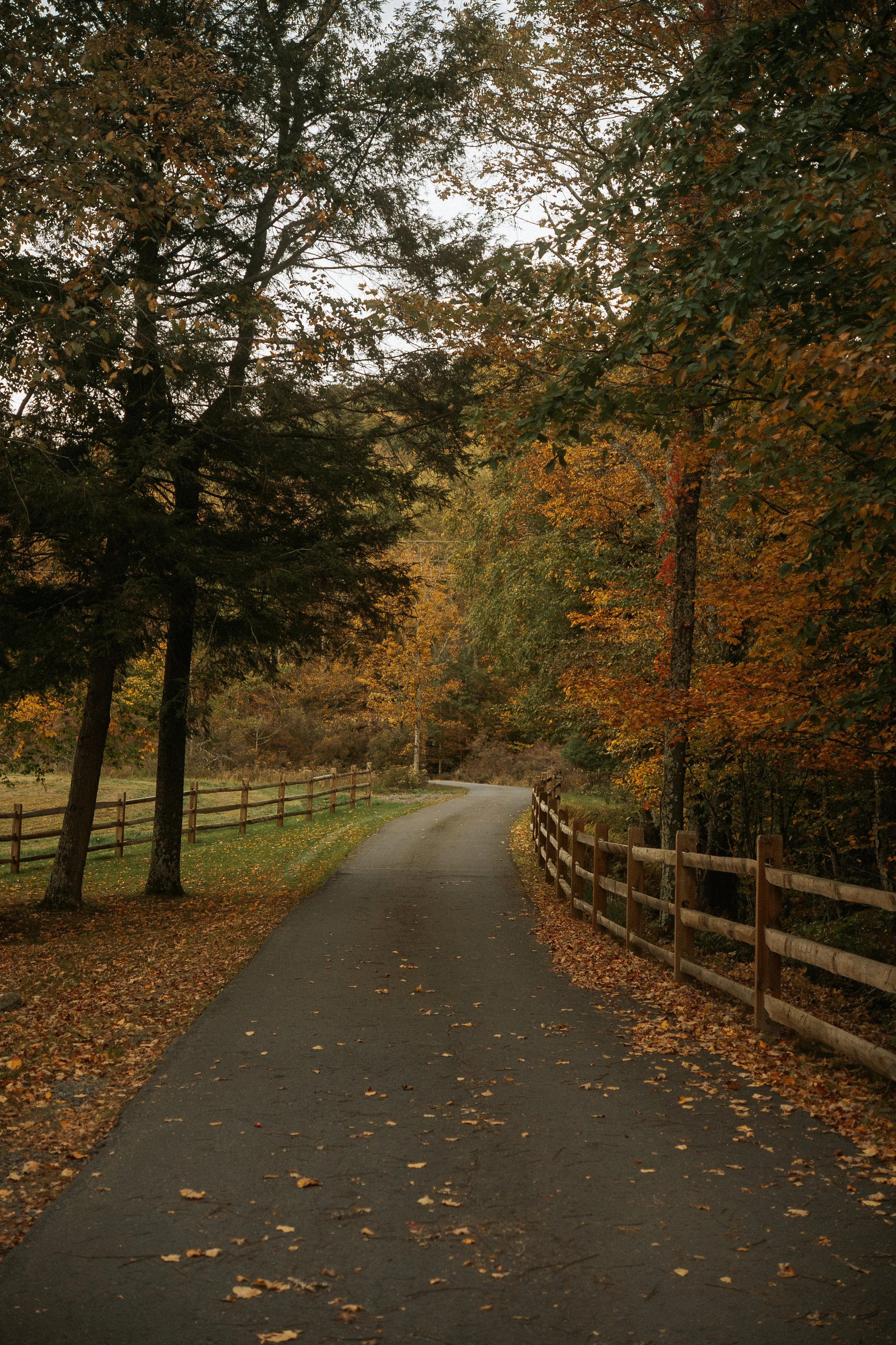 An Autumn Sunset-9.jpg
