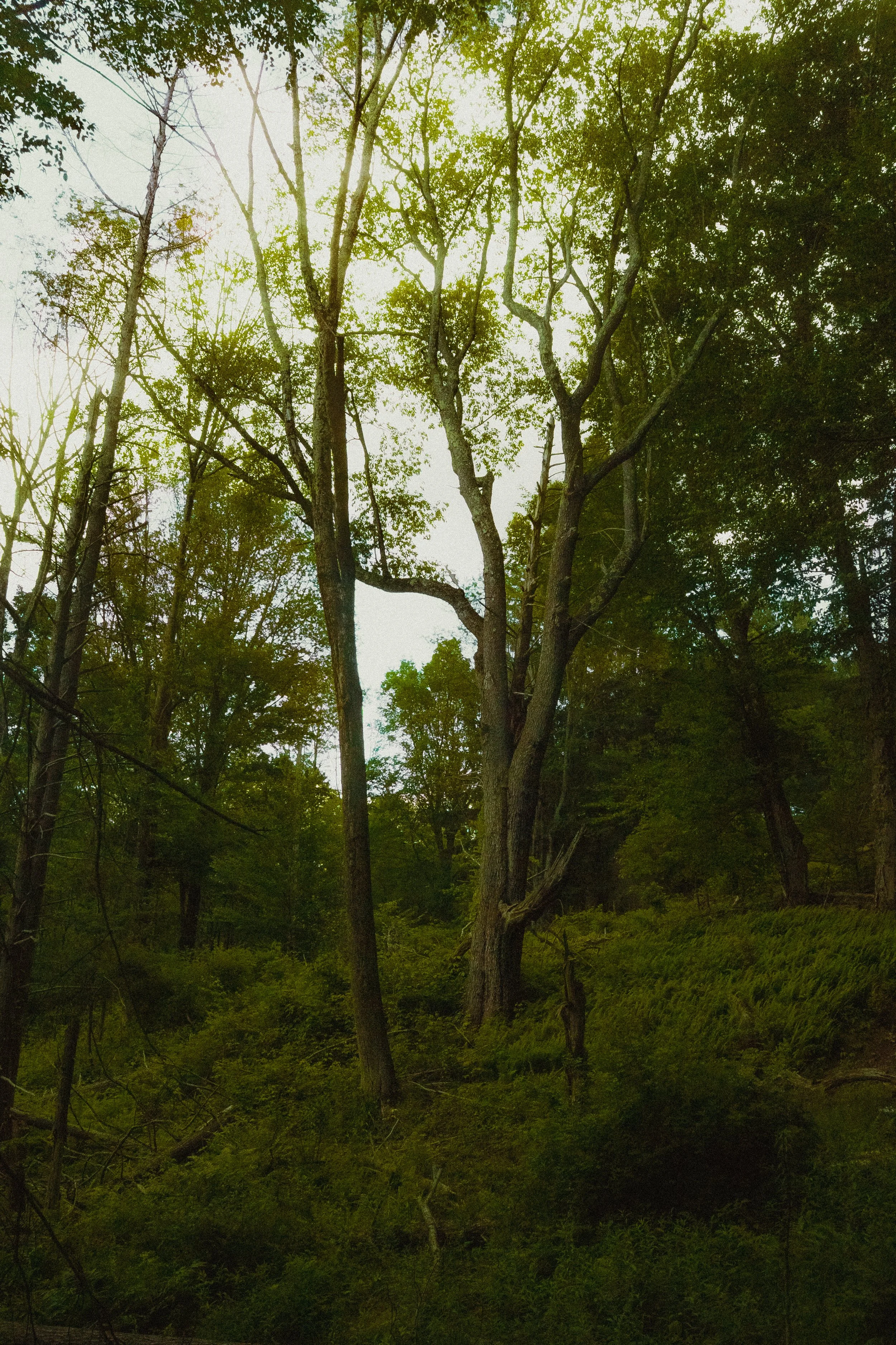 New Home-9.jpg