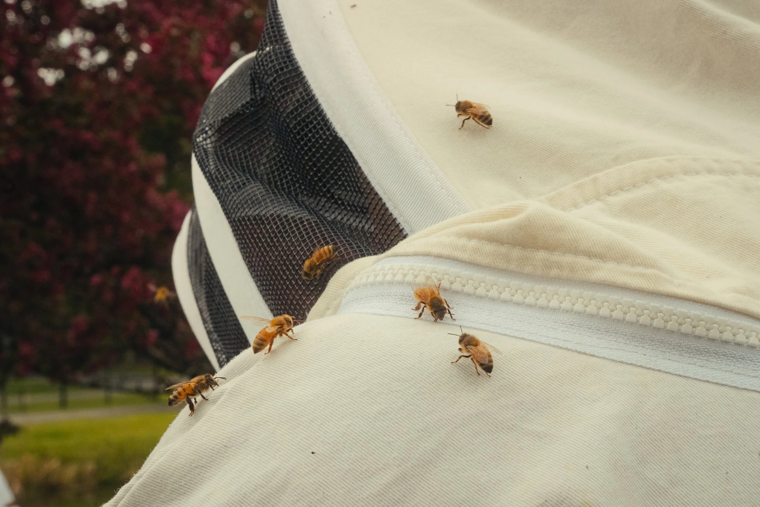 Honey & Hive-45.jpg