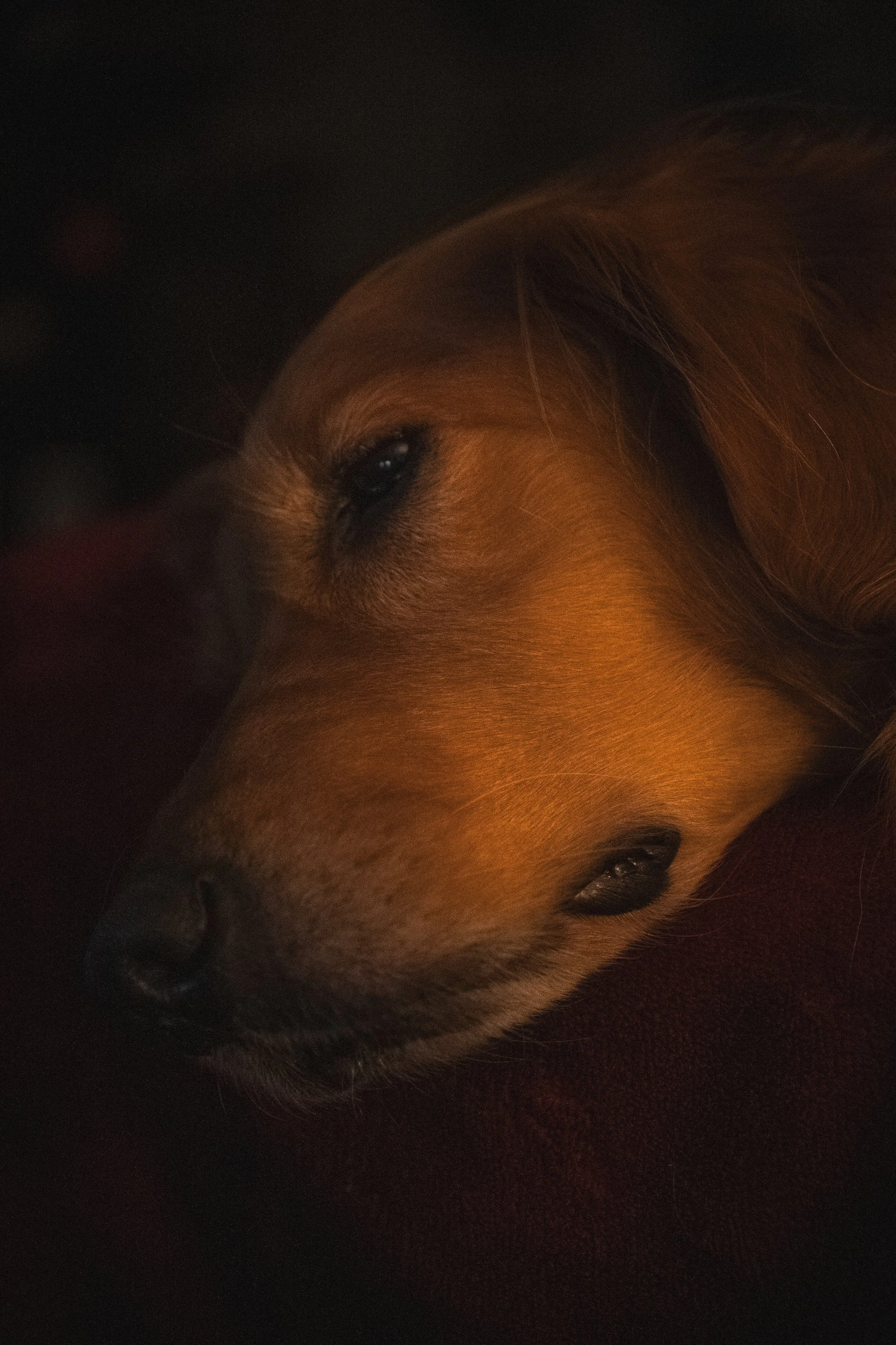 Sophia Chilling-03.jpg