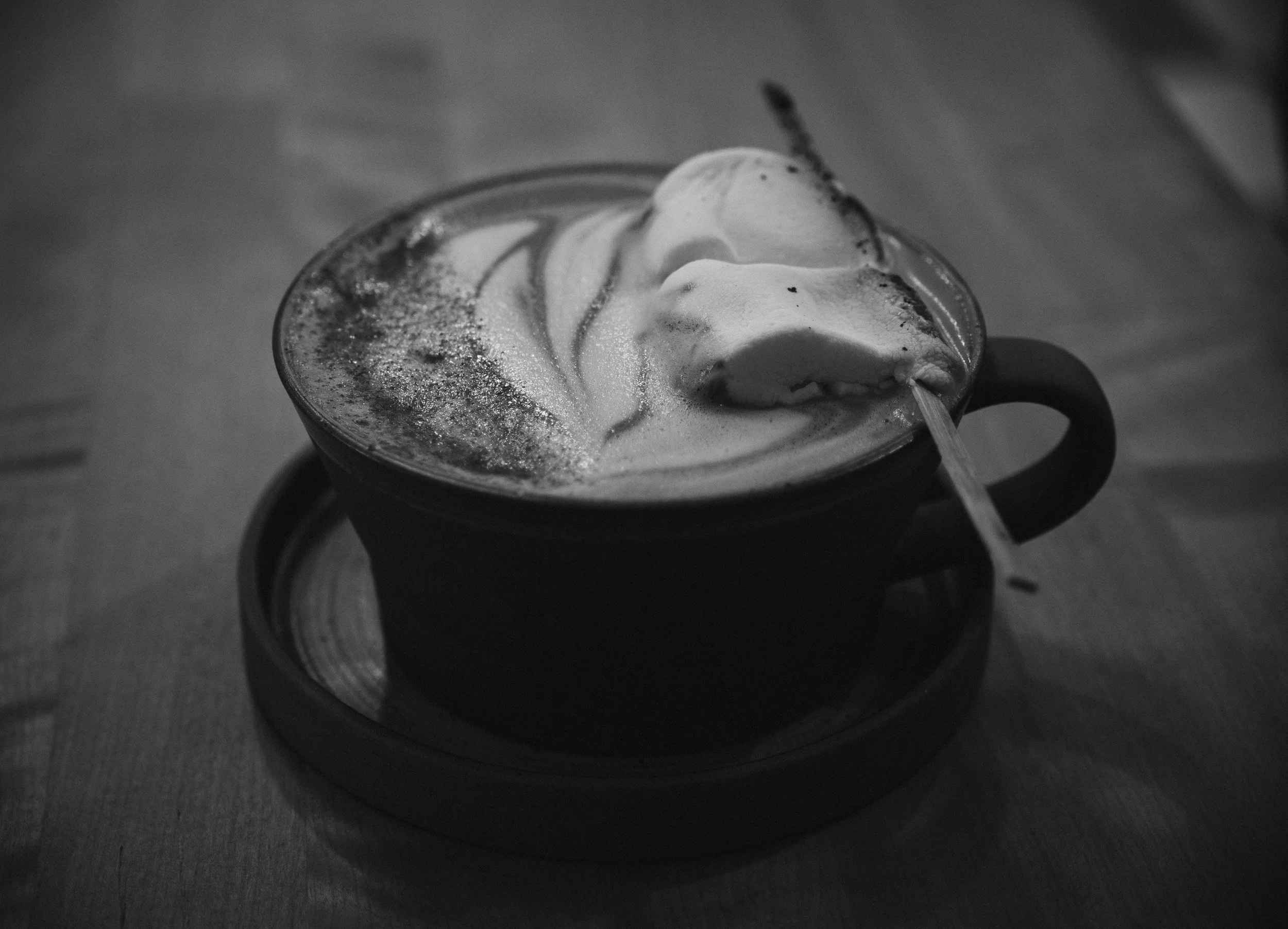 Forage & Gather-10.jpg
