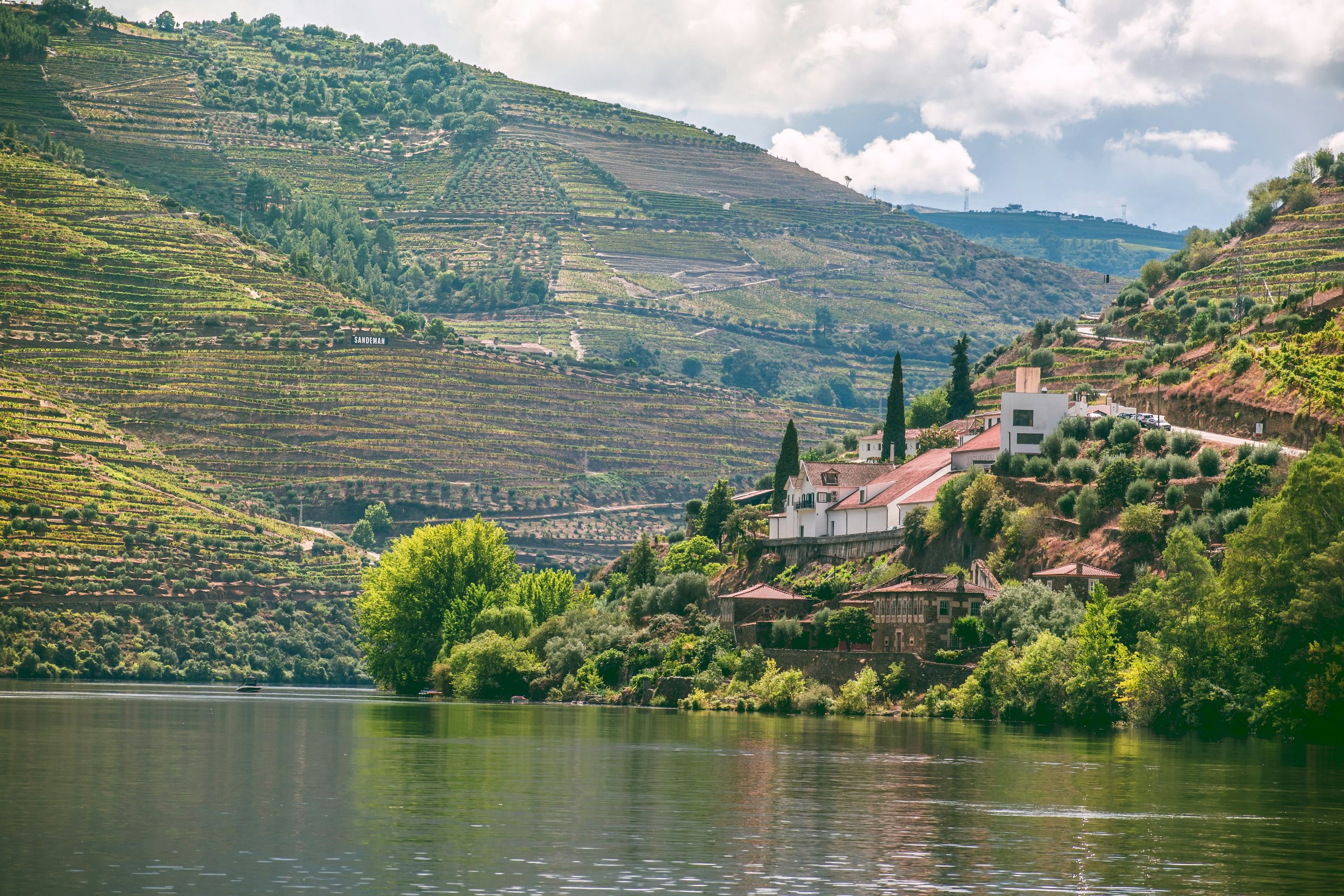 A scenic view of lush green terraced vineyards on hillside, white houses with red roofs at the base, and a calm river in the foreground with a boat. Overcast sky with patches of sunlight.