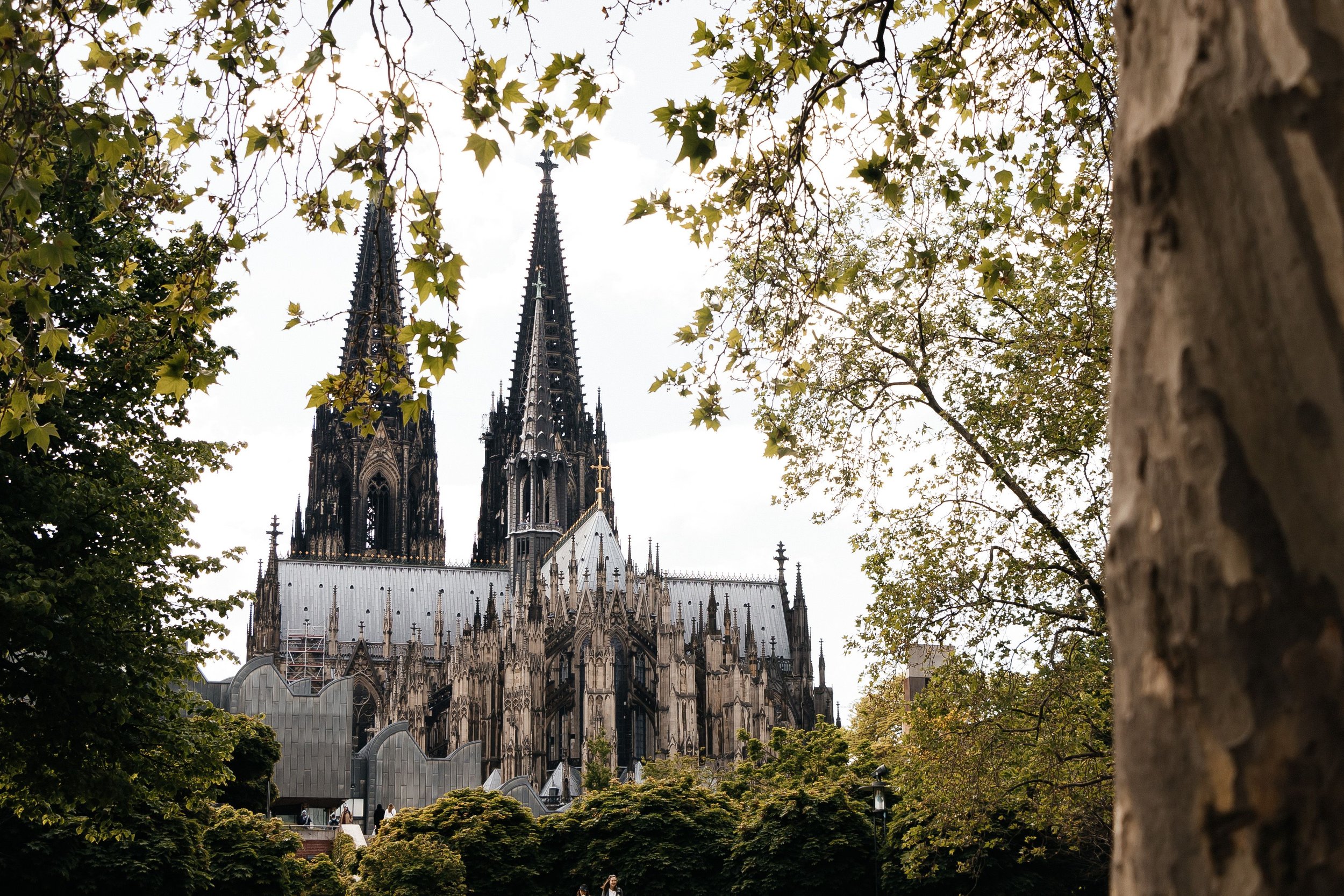 View of a Gothic cathedral with tall spires, seen through trees and foliage.