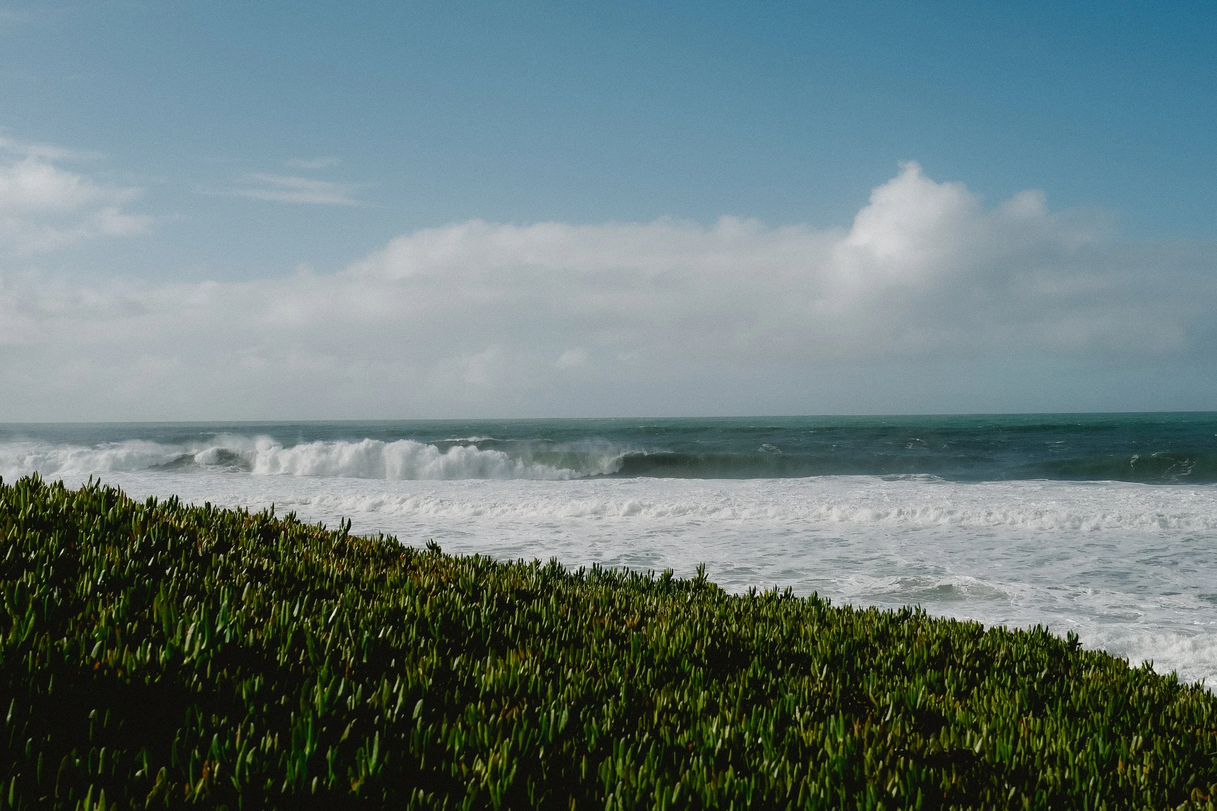 Ocean waves crashing onto the shore under a cloudy sky, with green coastal plants in the foreground.