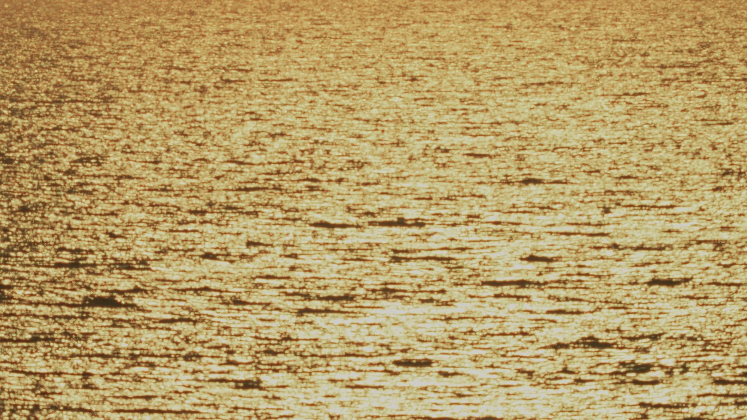 Stills_1.5.1.jpg