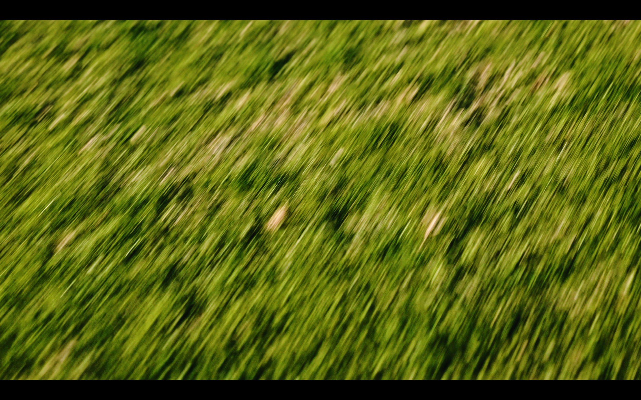 Screenshot 2025-01-29 at 10.41.18 PM.png