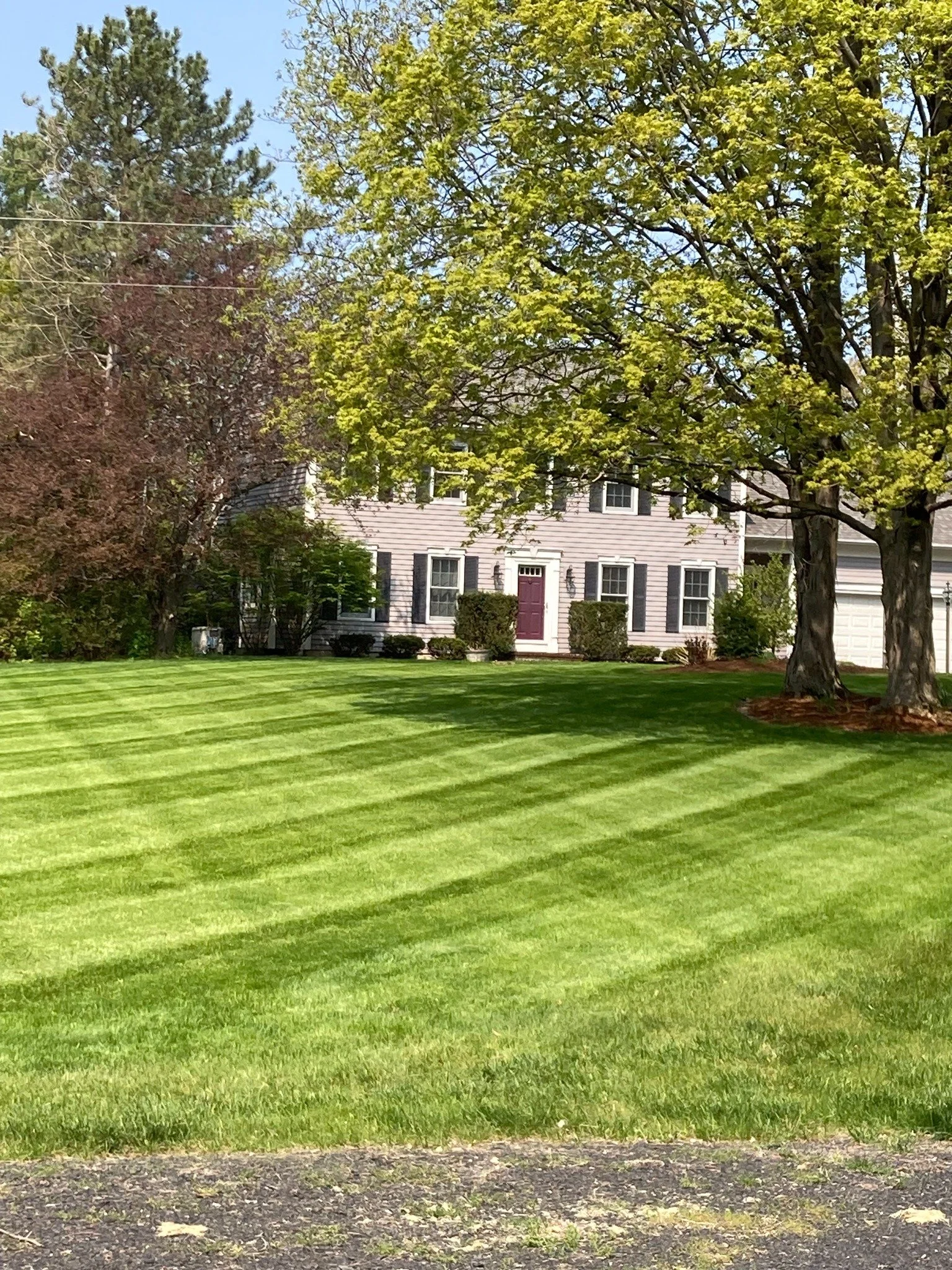 Striped residential lawn maintained by Catamount Mowing