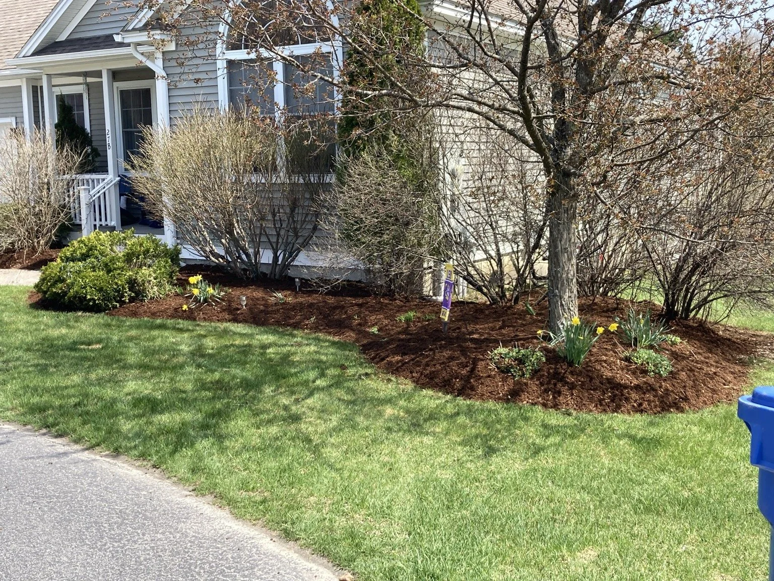 Fresh mulch beds and maintained lawn at a Catamount Mowing property